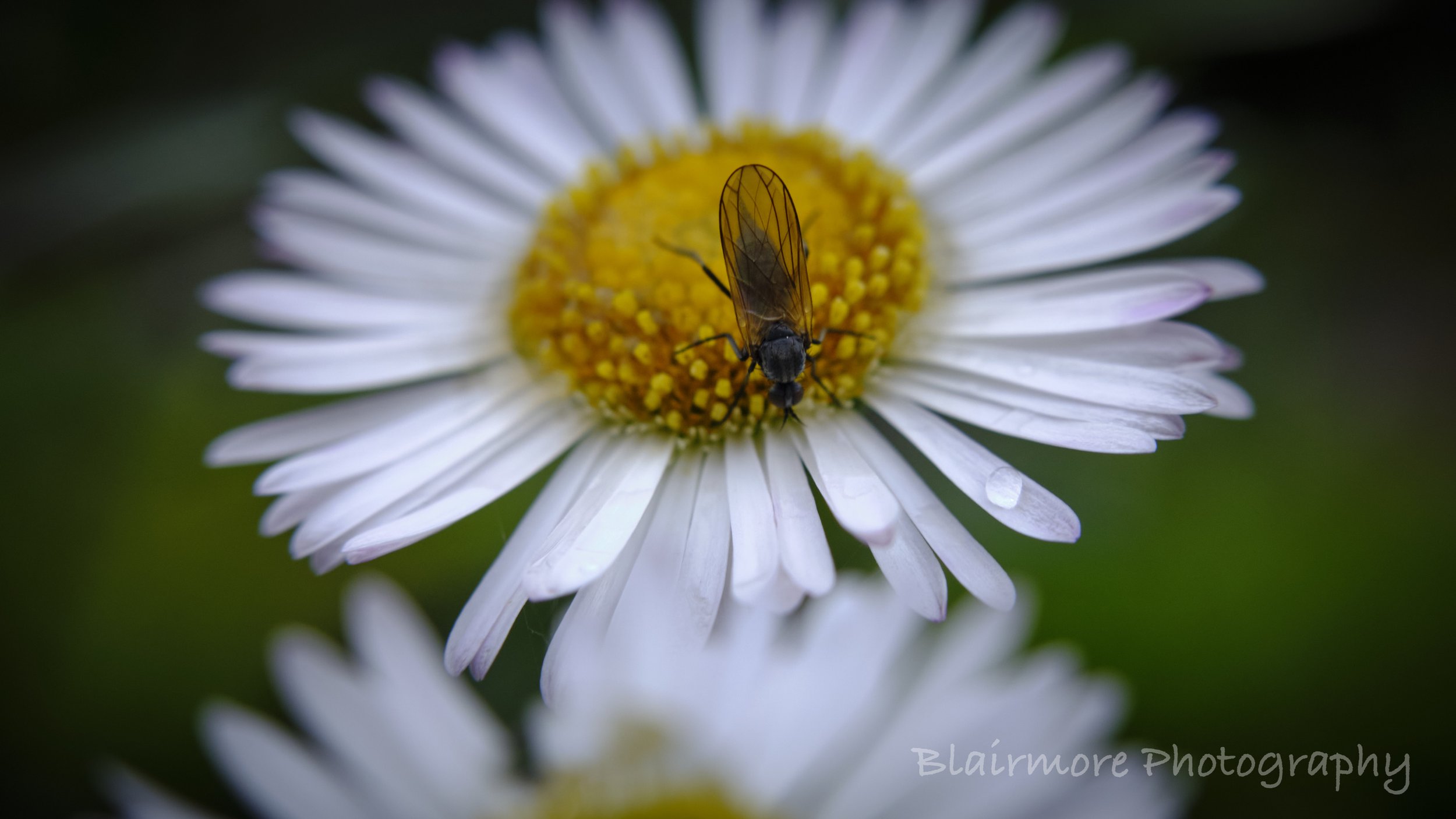 DSCF7464.jpg