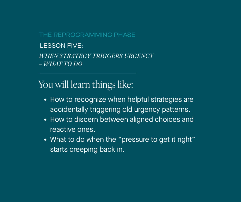 REPROGRAMMING PHASE | LESSON FIVE