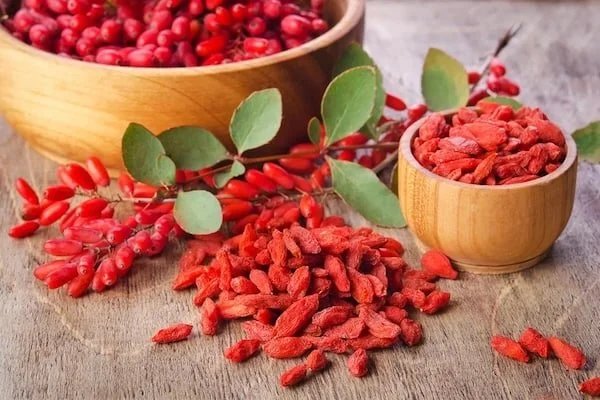 Berberine vs. Ozempic: Is it Actually “Nature’s Ozempic”?