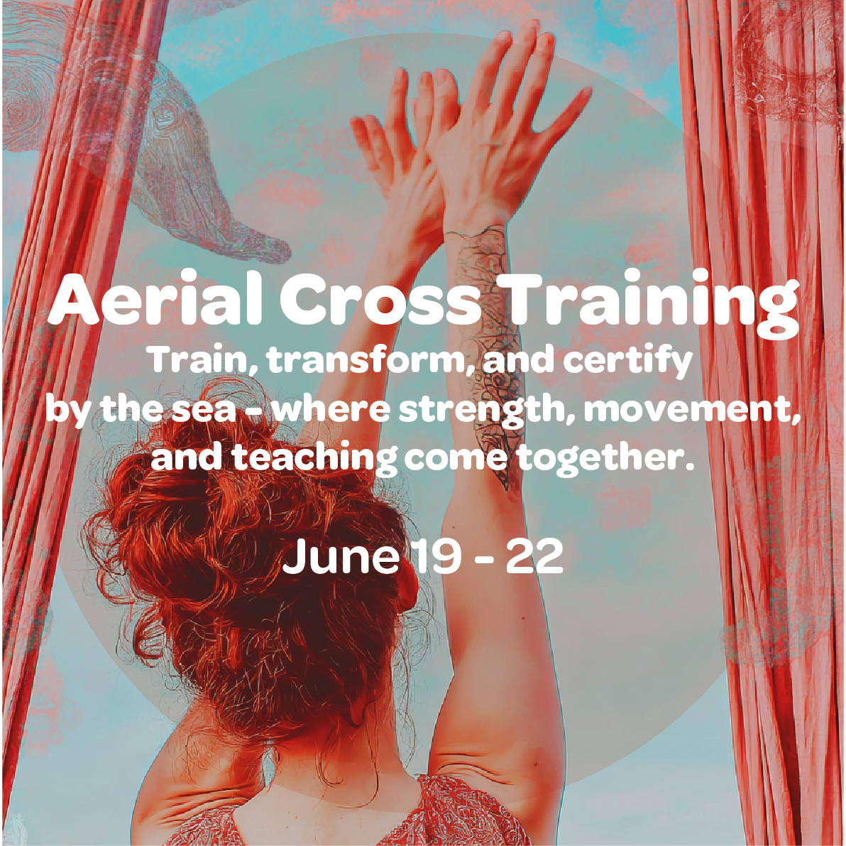 Click on the image to access all the information