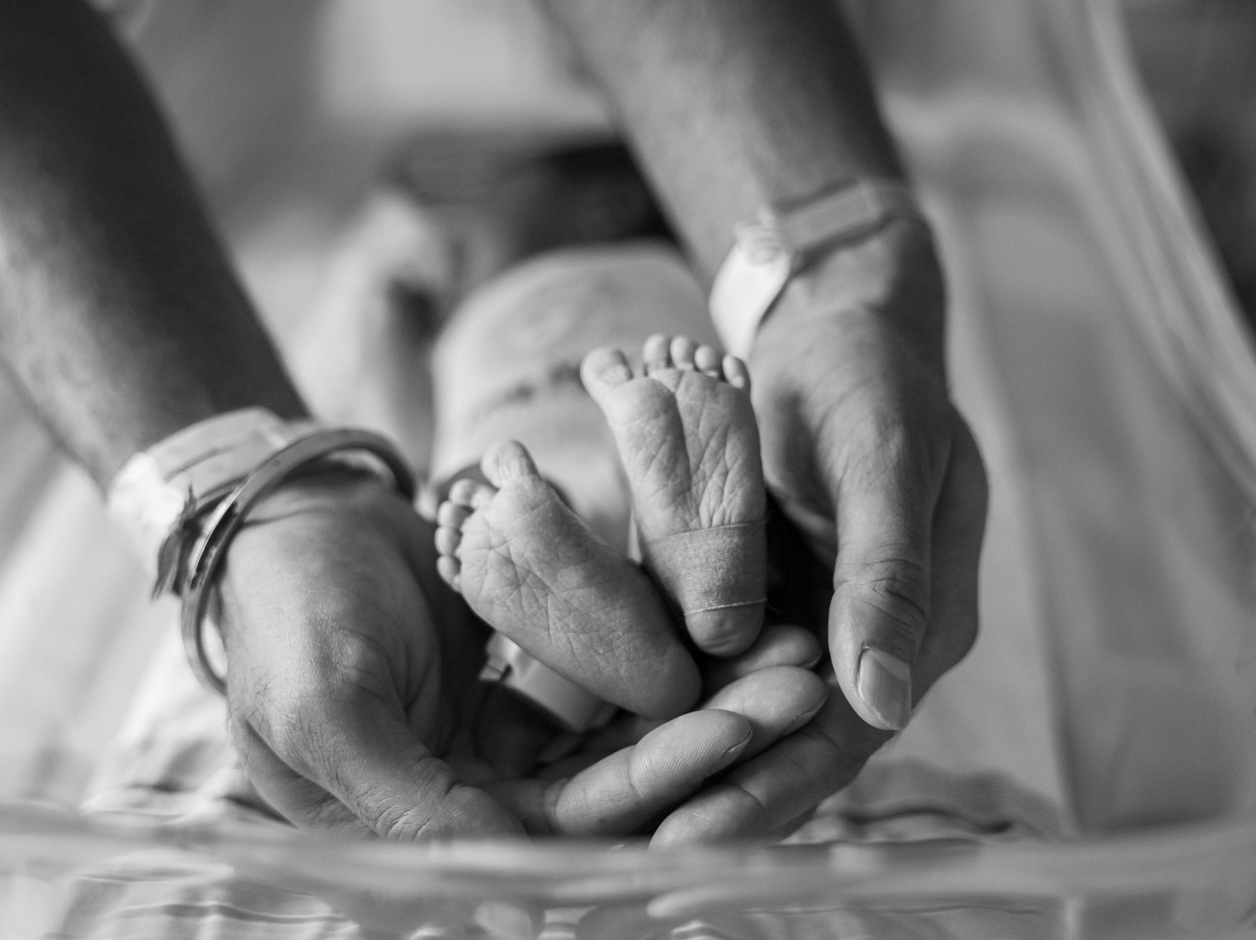 Photo Aug 24 2024, 6 09 35 PM (1).jpeg