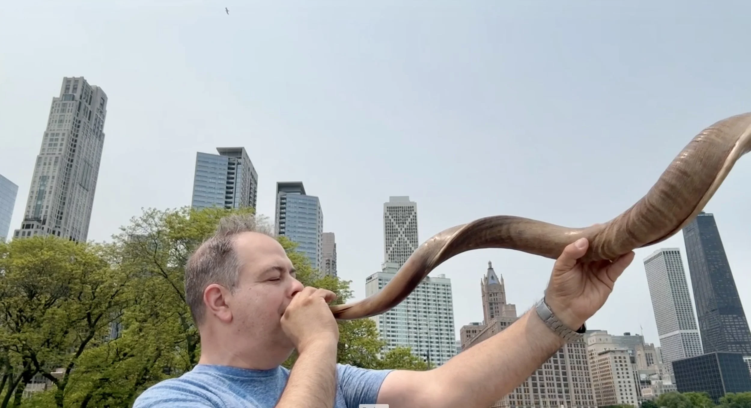Shofar and Psalm Ministry in Chicago