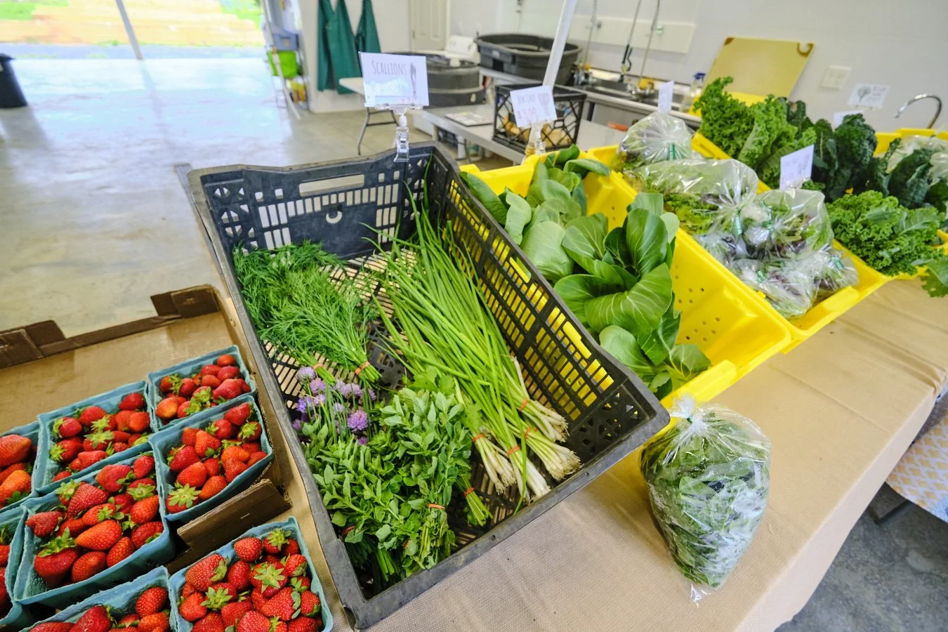 Affordable Farmers Markets Near You — Project GROWS