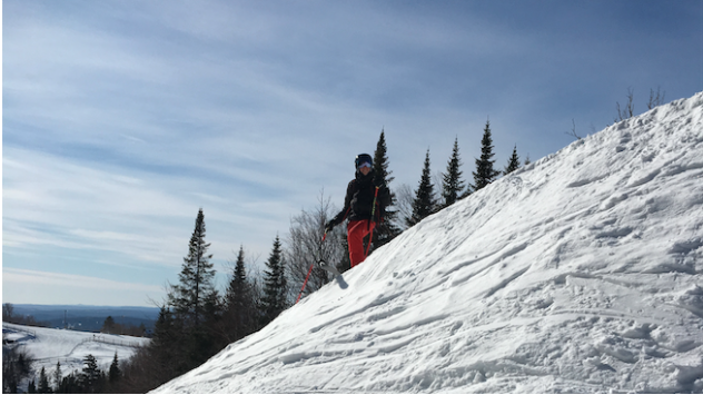 AI Automation vs. AI Augmentation