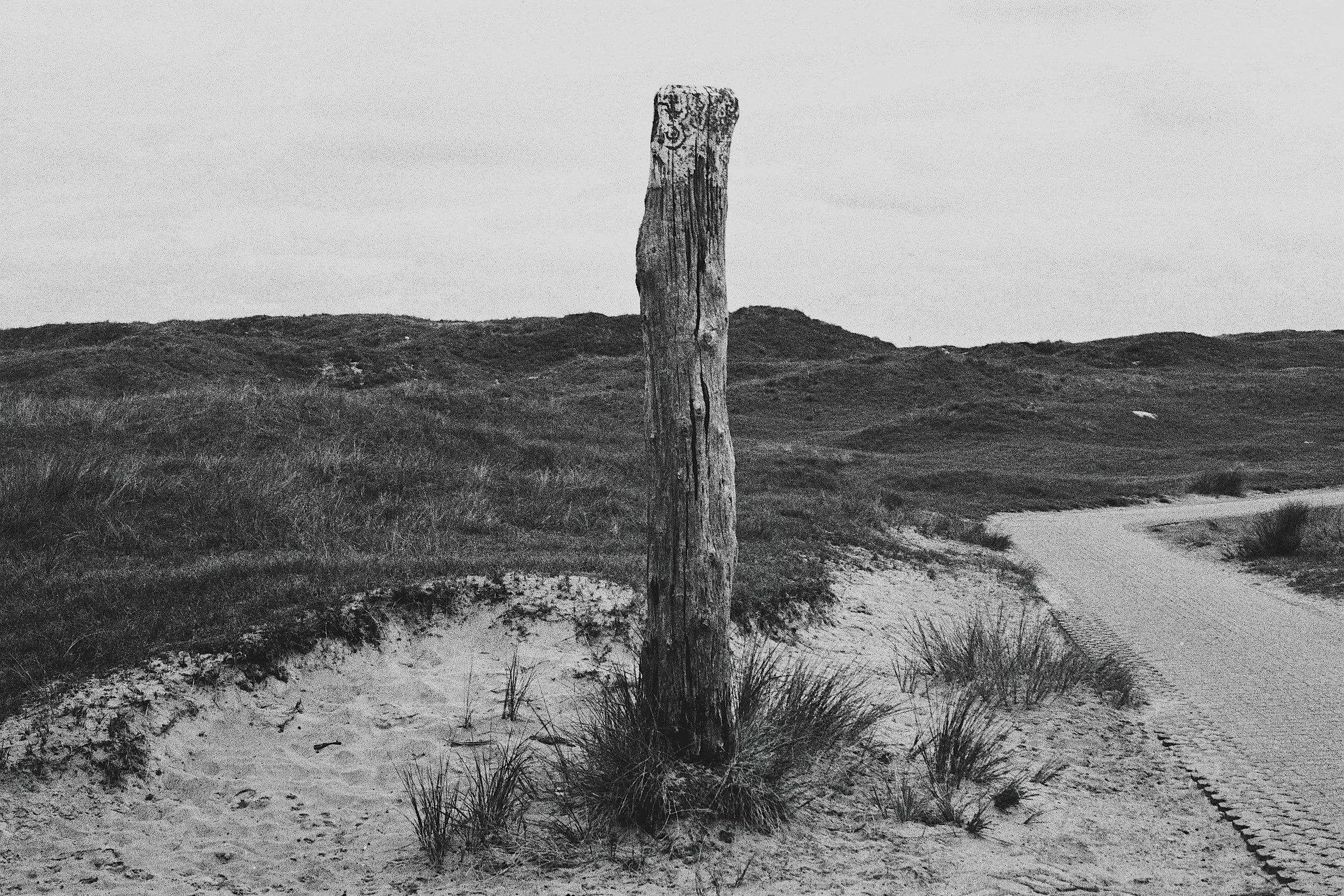 Black and white photo of a beach landscape with sand, grassy dunes, a dirt pathway, and a weathered wooden post in the foreground.