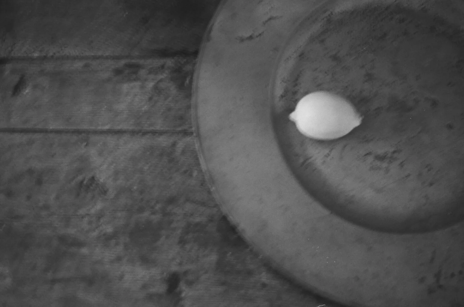 A small onion in a round, metallic dog bowl on a wooden floor.