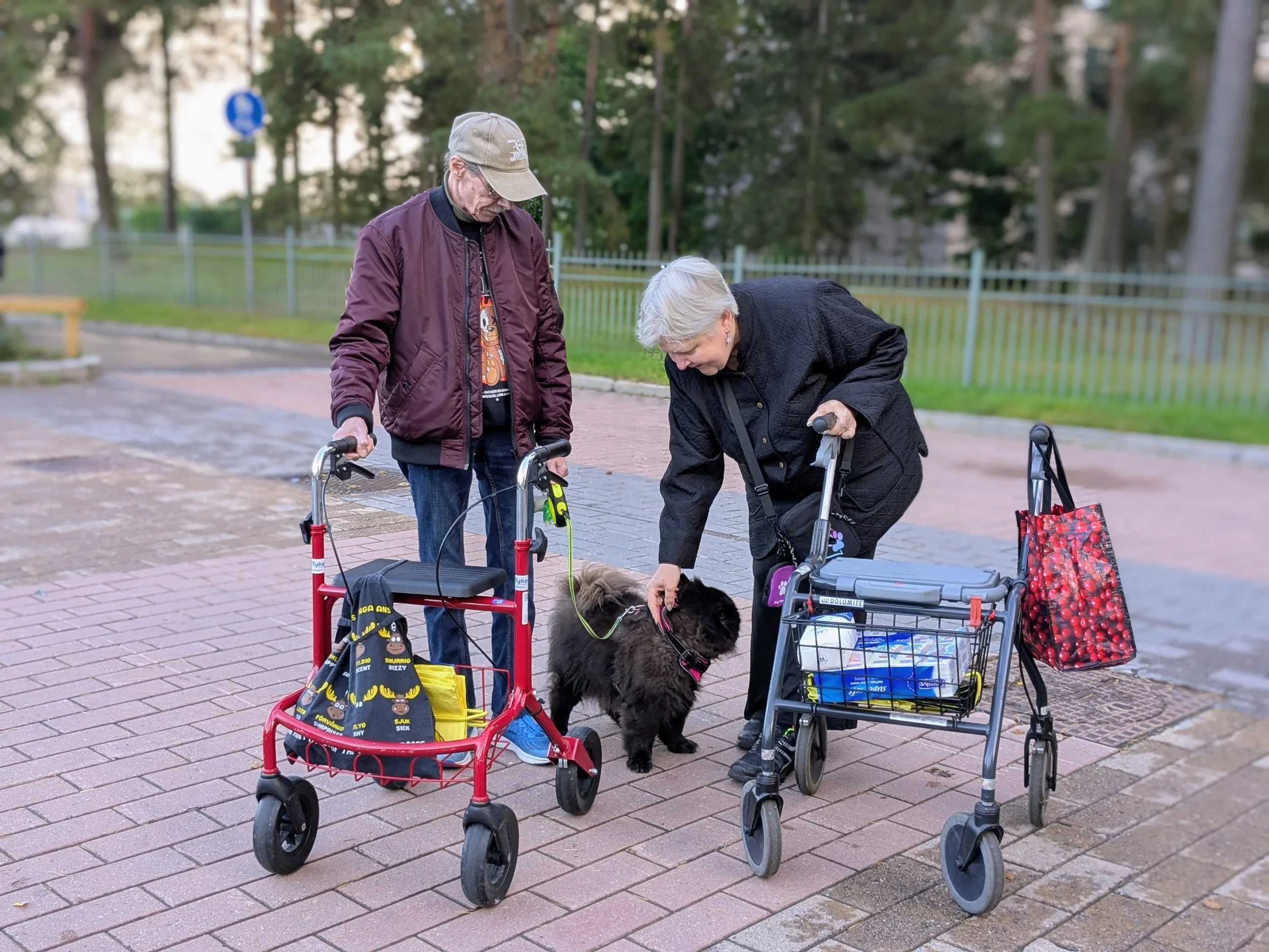 Katariina K_6. Liike ja pysähdys.jpg