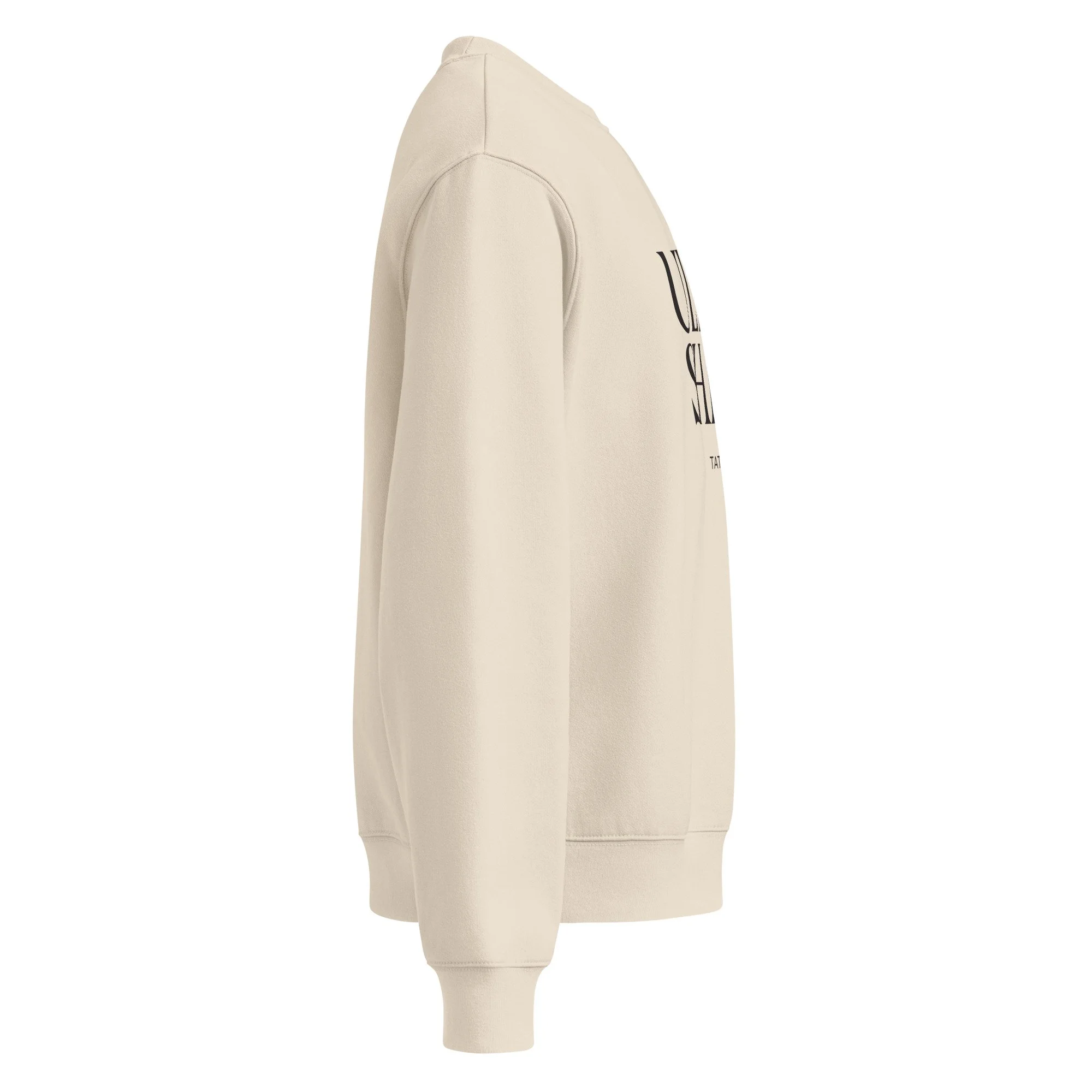 unisex-oversized-heavyweight-sweatshirt-dust-right-68a336bb6edc0.jpg