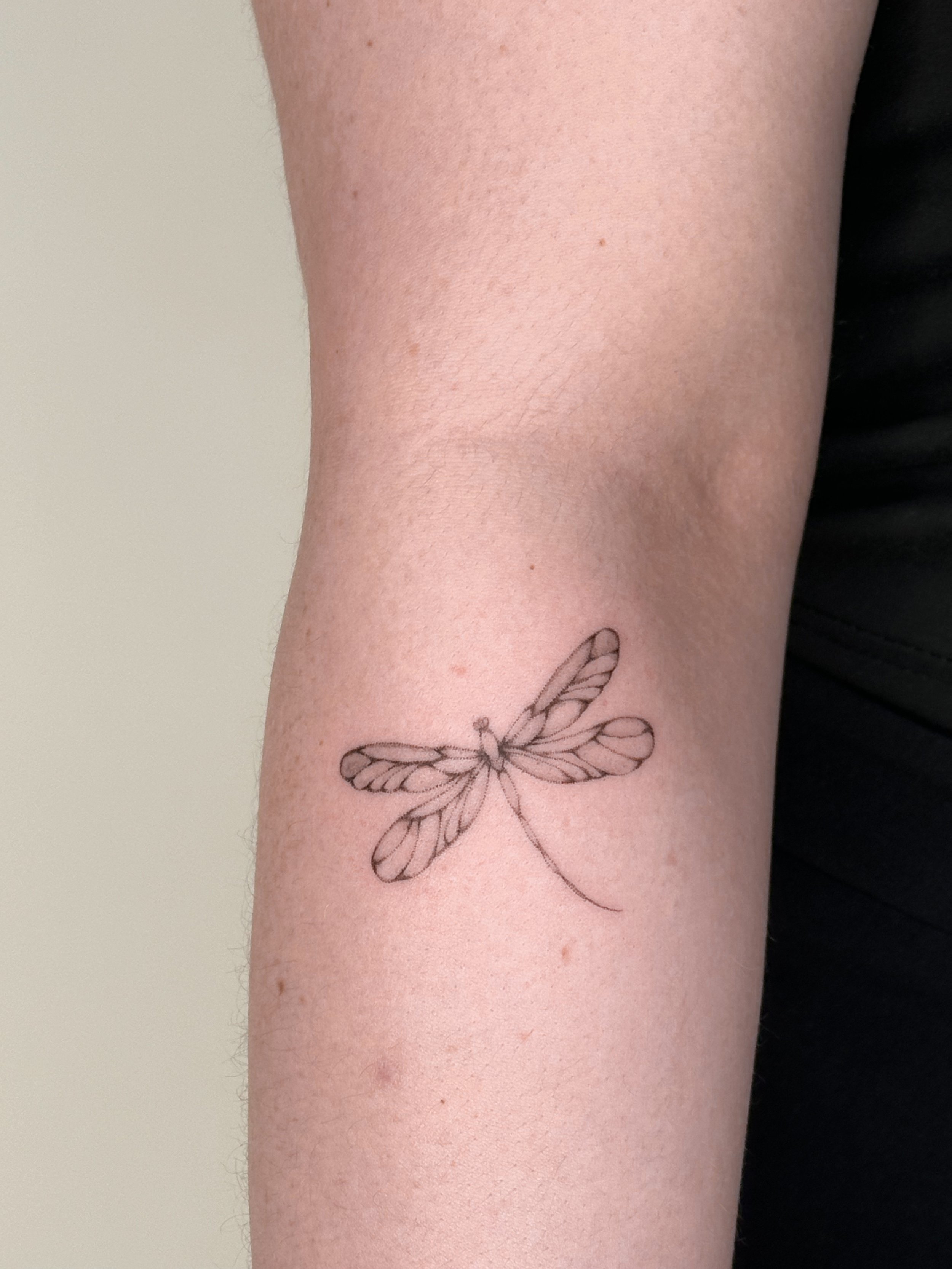 Minimalist dragonfly tattoo on forearm