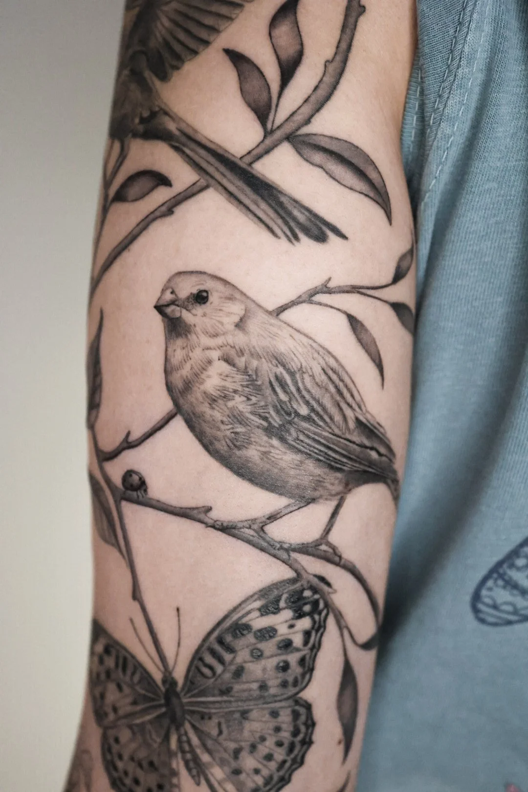 bird on a branch and butterfly tattoos
