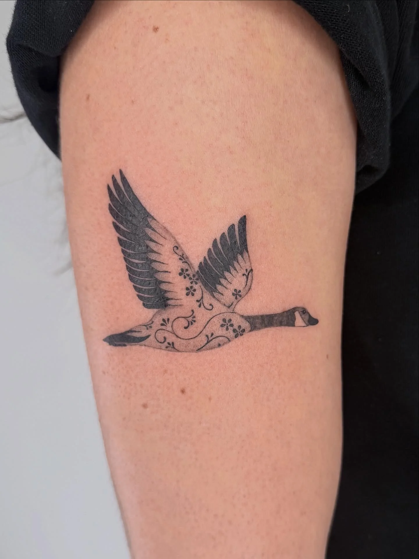 BC22876B-FCED-4EE6-9974-760051F407CD 2.JPG