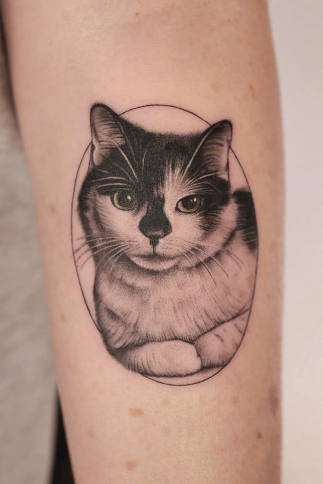 Cat pet portrait tattoo