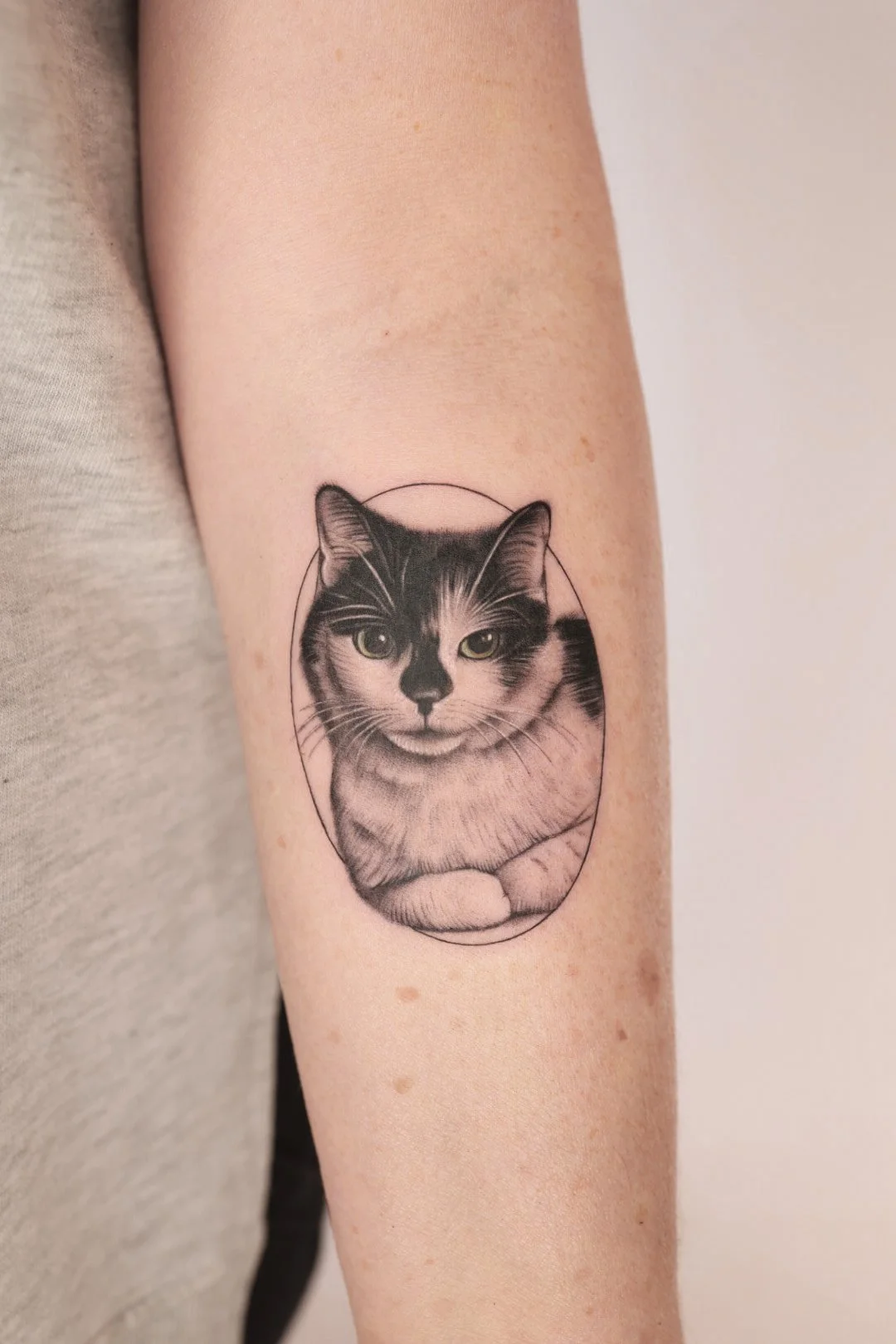 cat pet portrait tattoo columbus ohio