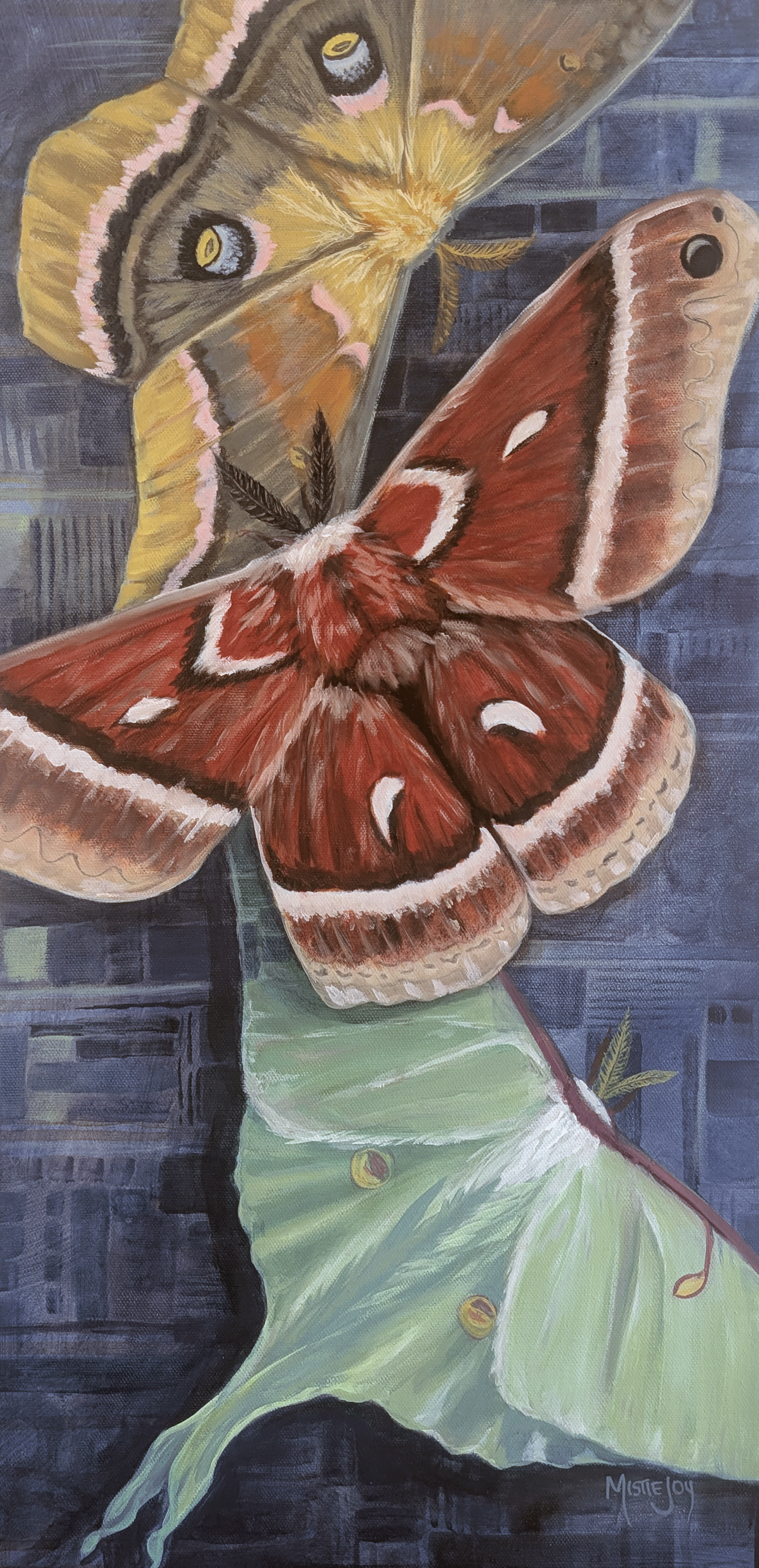Moth Trio