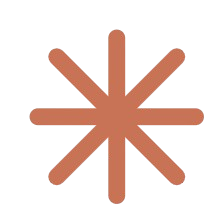 A stylized brown asterisk or star symbol with eight arms.