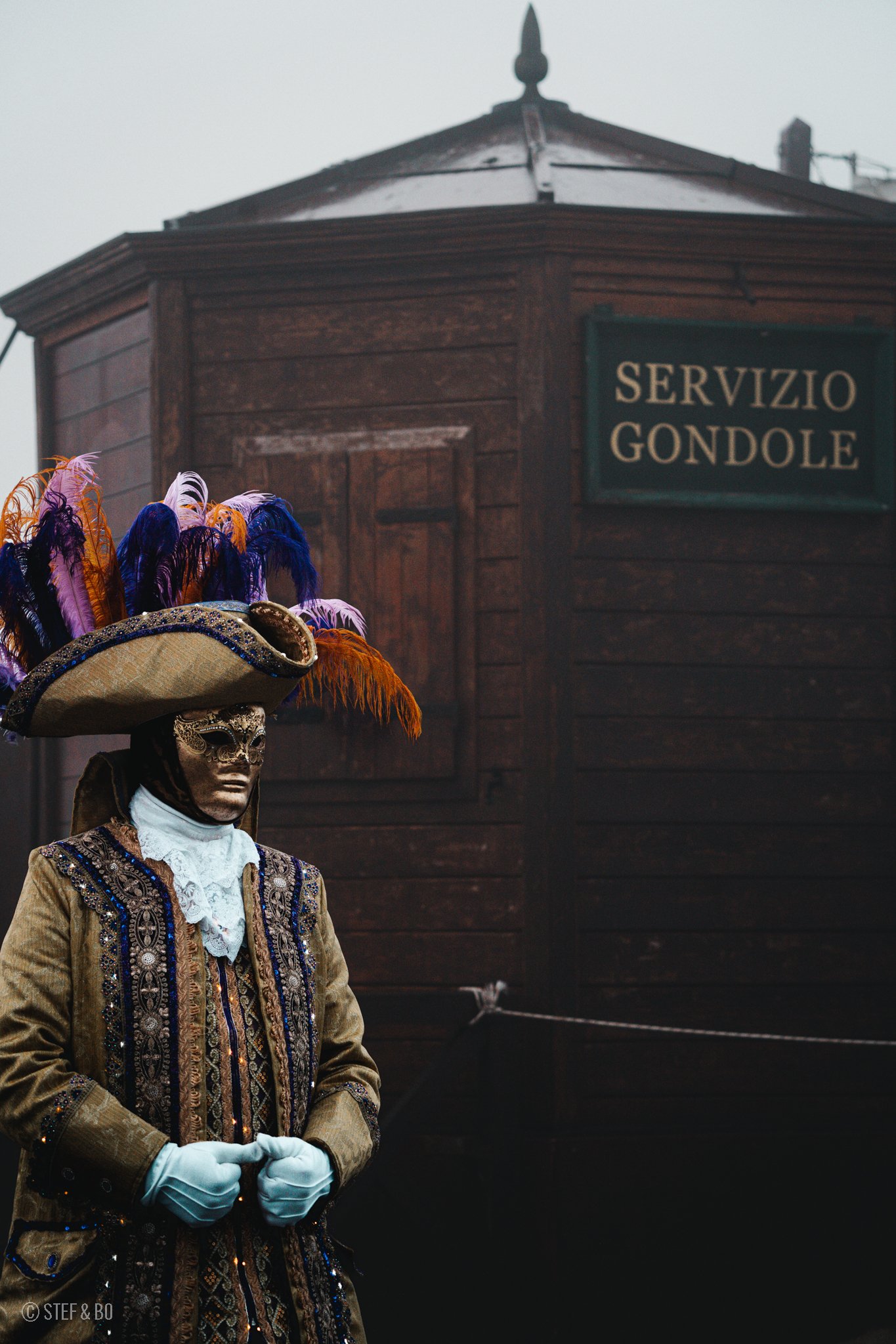 Venice Carnival 2024-6.jpg