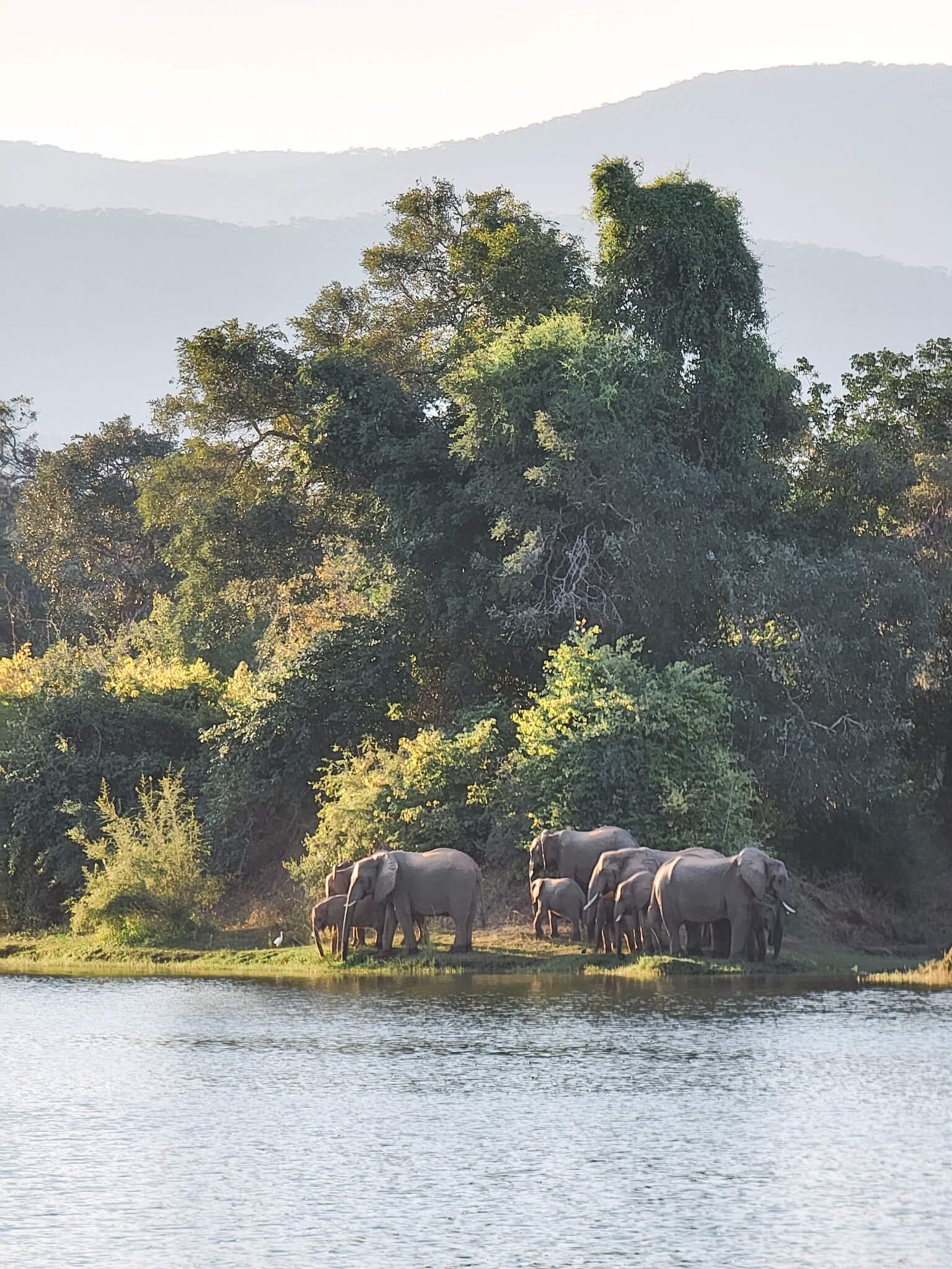 luxury-safari-lower-zambezi-zambia-12.jpg