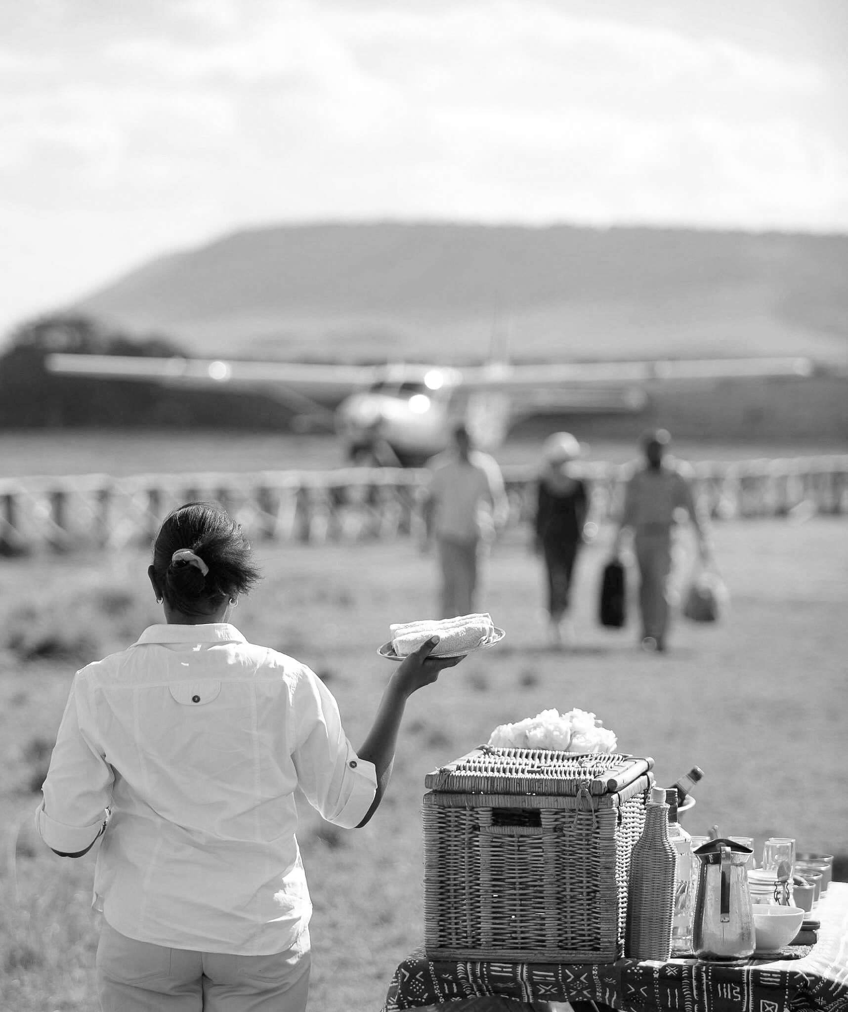 Safari private jet charter.