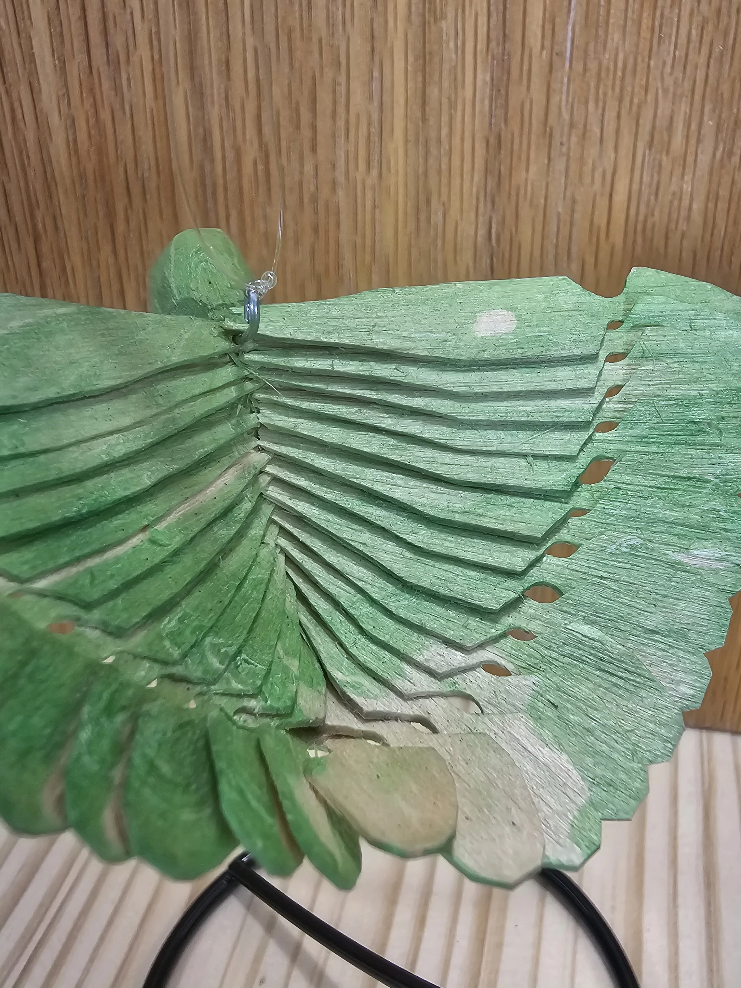 20260801_175441.jpg