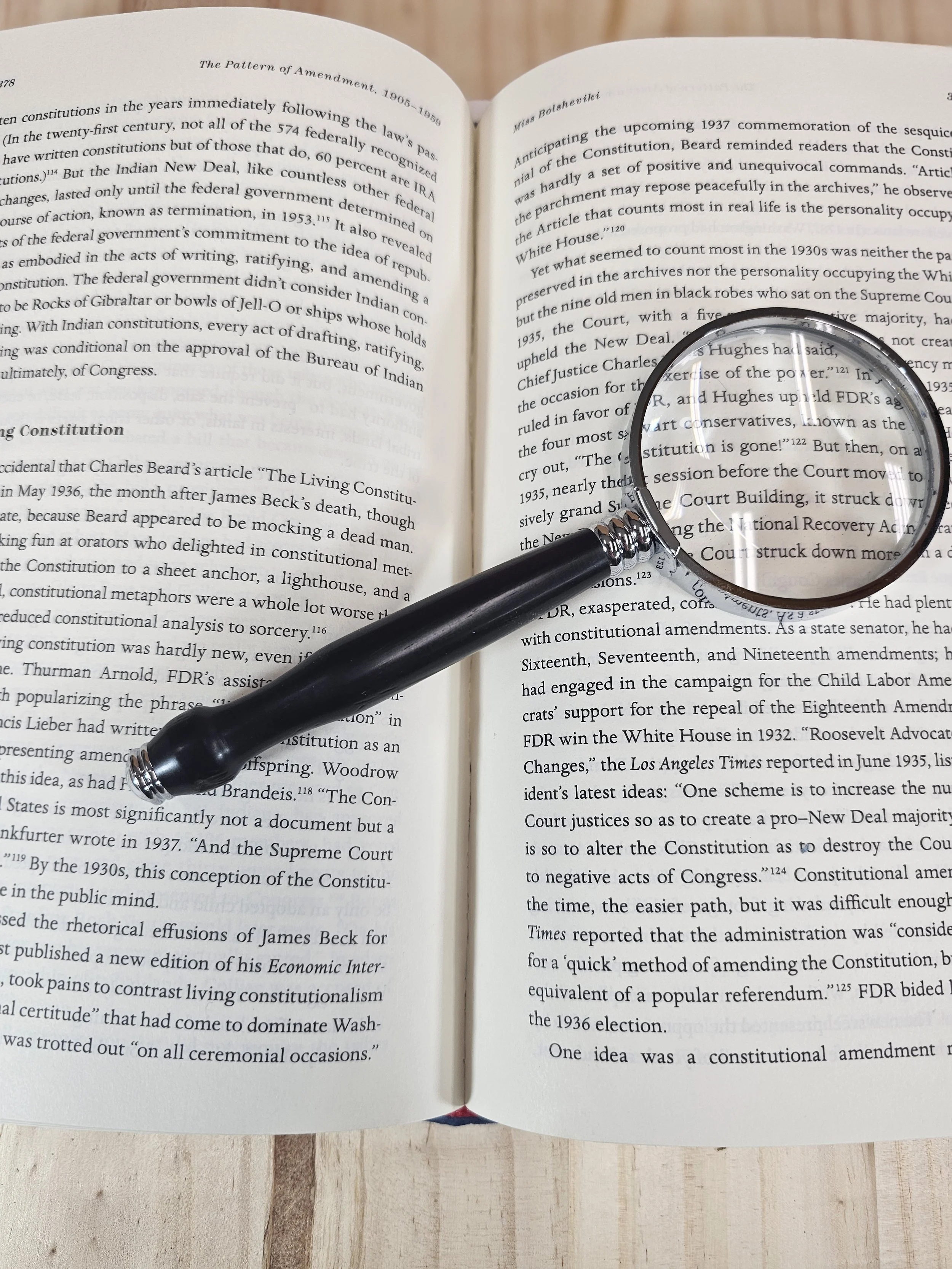 Magnifying Glass with inky black ebony wood handle