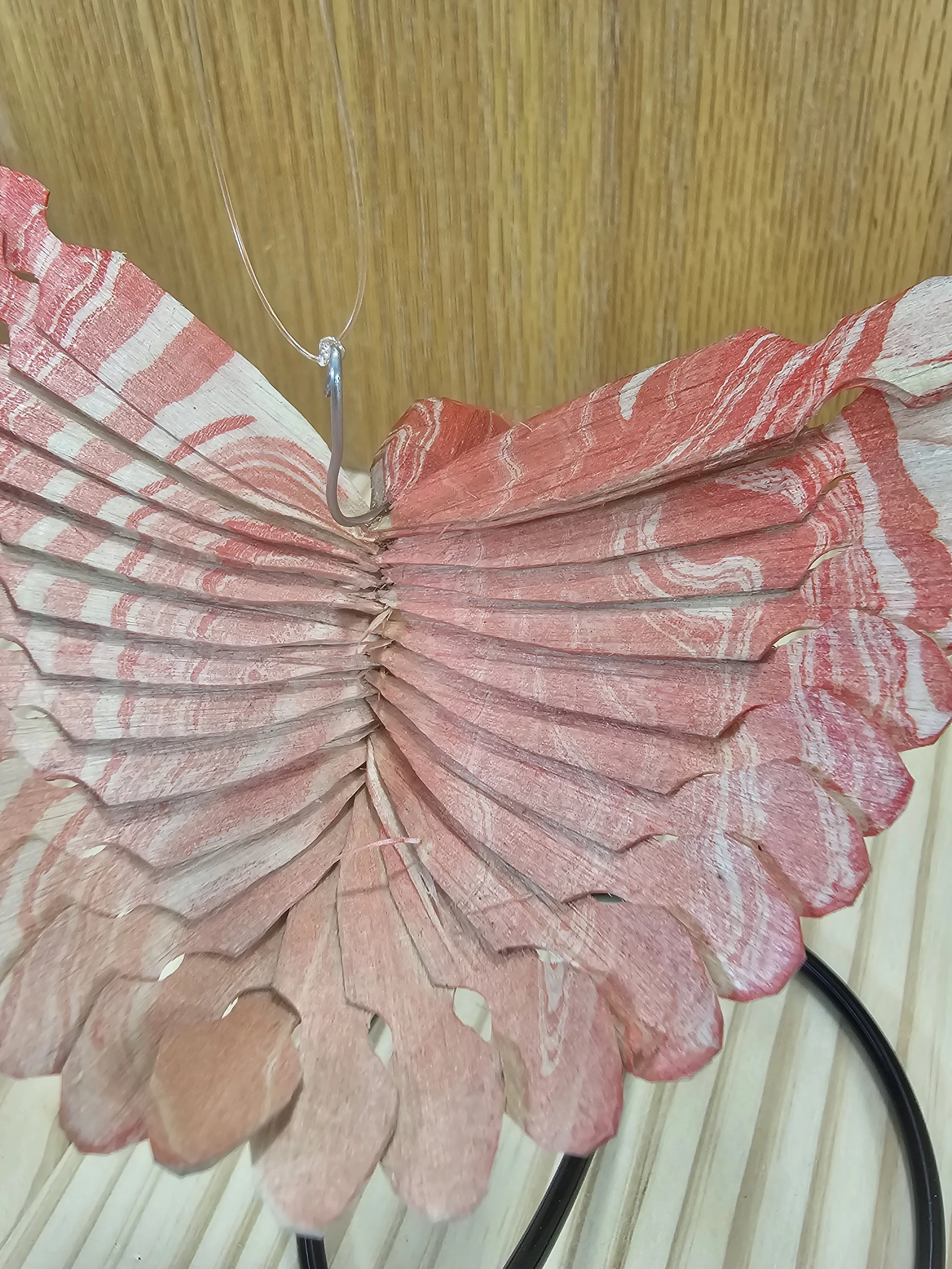20260801_175910.jpg
