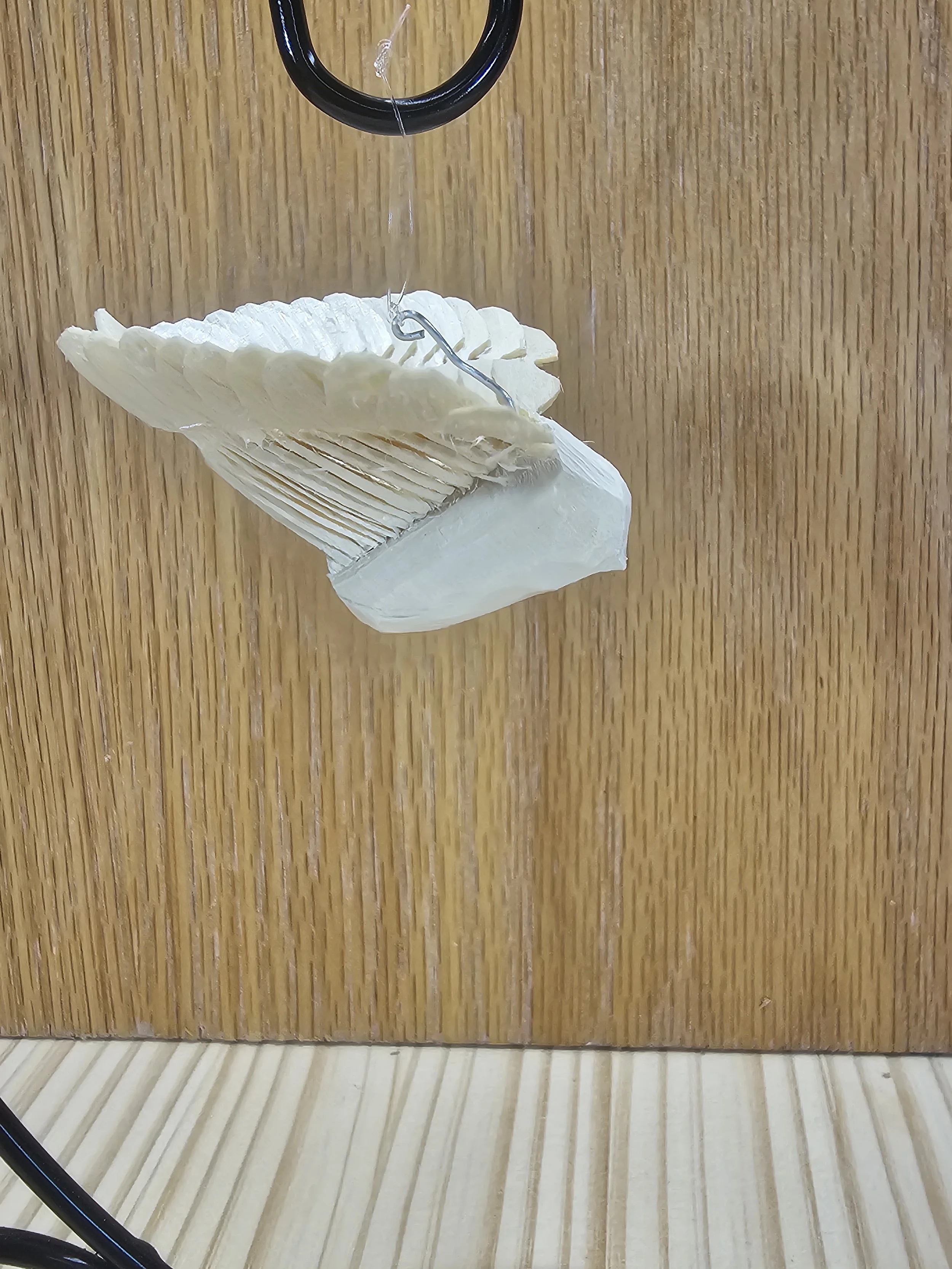 20260801_174833.jpg