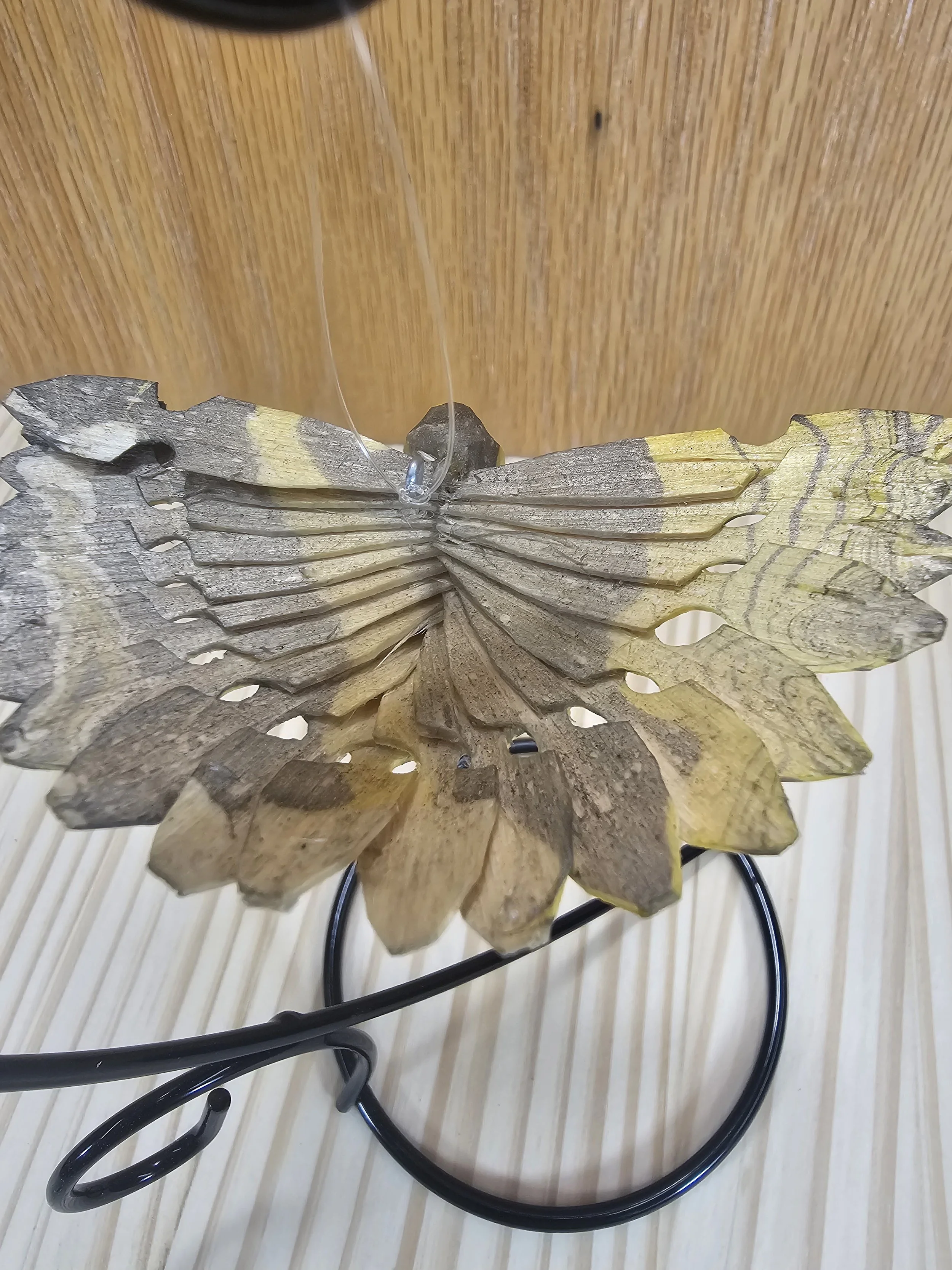 20260801_180753.jpg