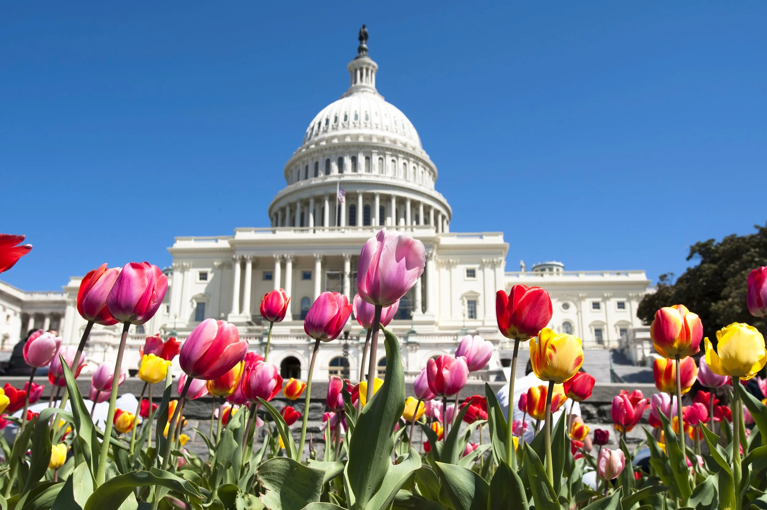 CONGRESSIONAL LEADERSHIP TRANSITION™ Intensive 90-Minutes