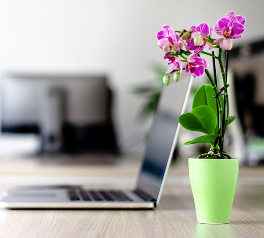 iStock-1139420720-fotor-2026082381259.png