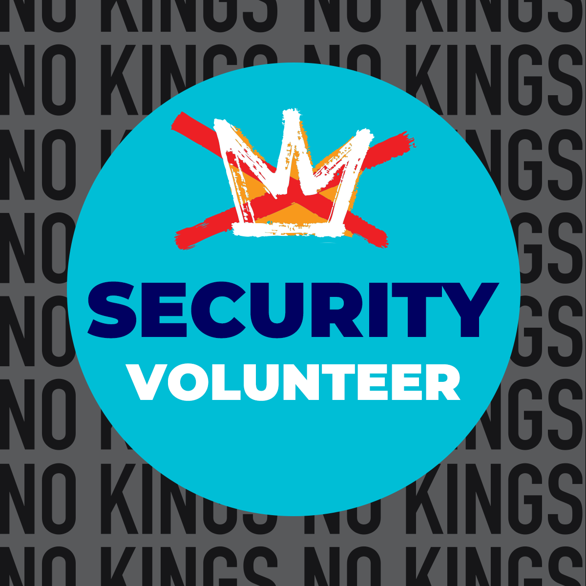 Security Volunteer