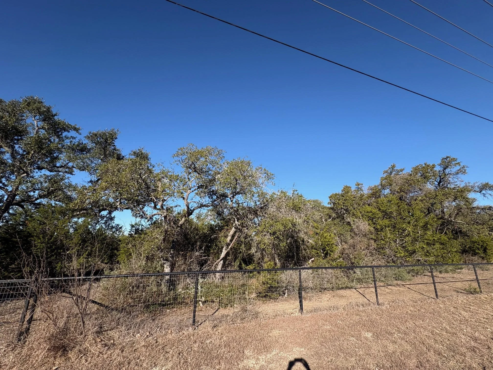 Property is fenced in entirety