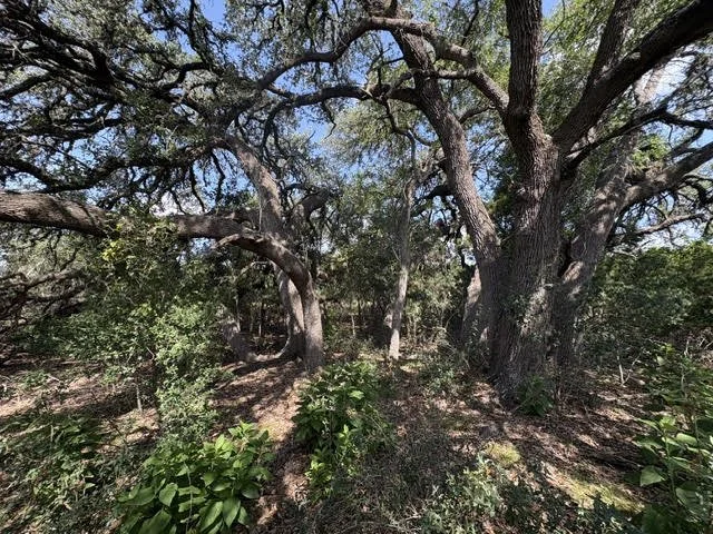 $99,900 | Lot 2025 Split Ridge Spring Branch, TX 78070 | Mystic Shores at Canyon Lake | 3.05 acres

