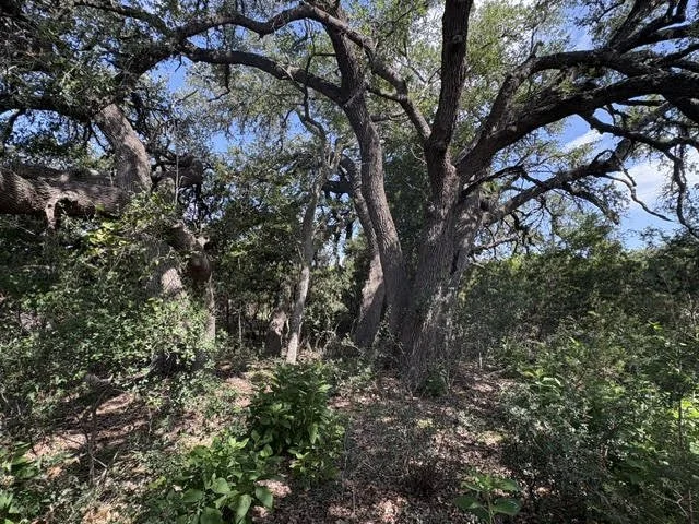 $135,000 | Lot 2025 Split Ridge Spring Branch, TX 78070 | Mystic Shores at Canyon Lake