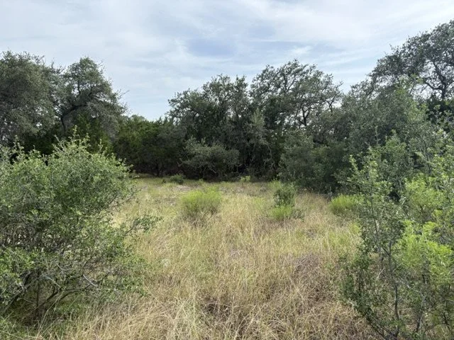 IMG_0859.jpeg