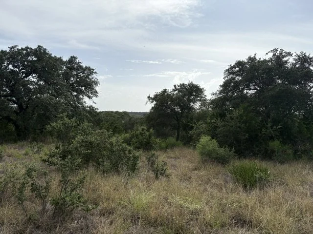 IMG_0856.jpeg
