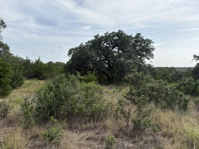 IMG_0857.jpeg
