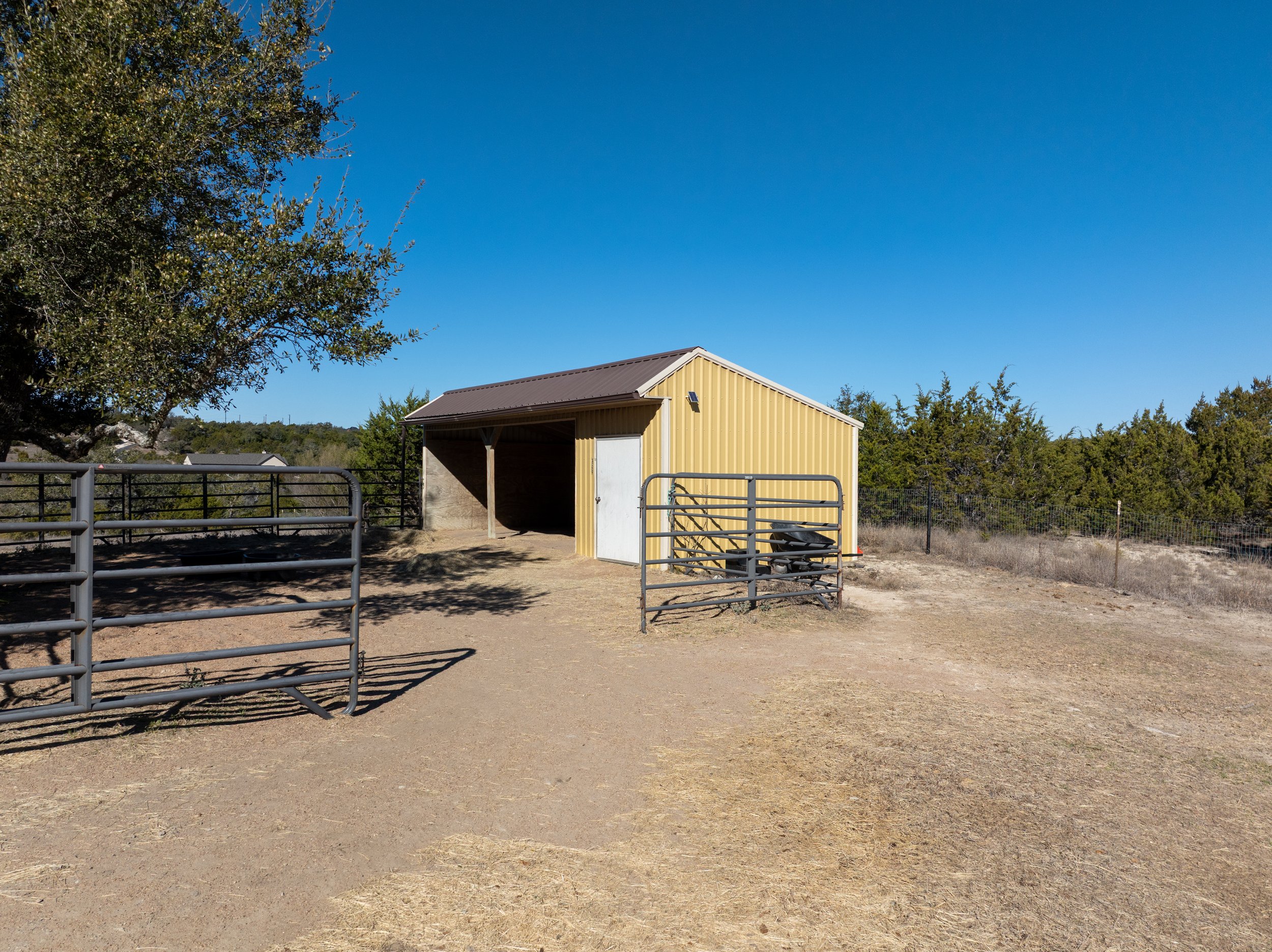 Photo Feb 05 2026, 10 21 06 AM.jpg