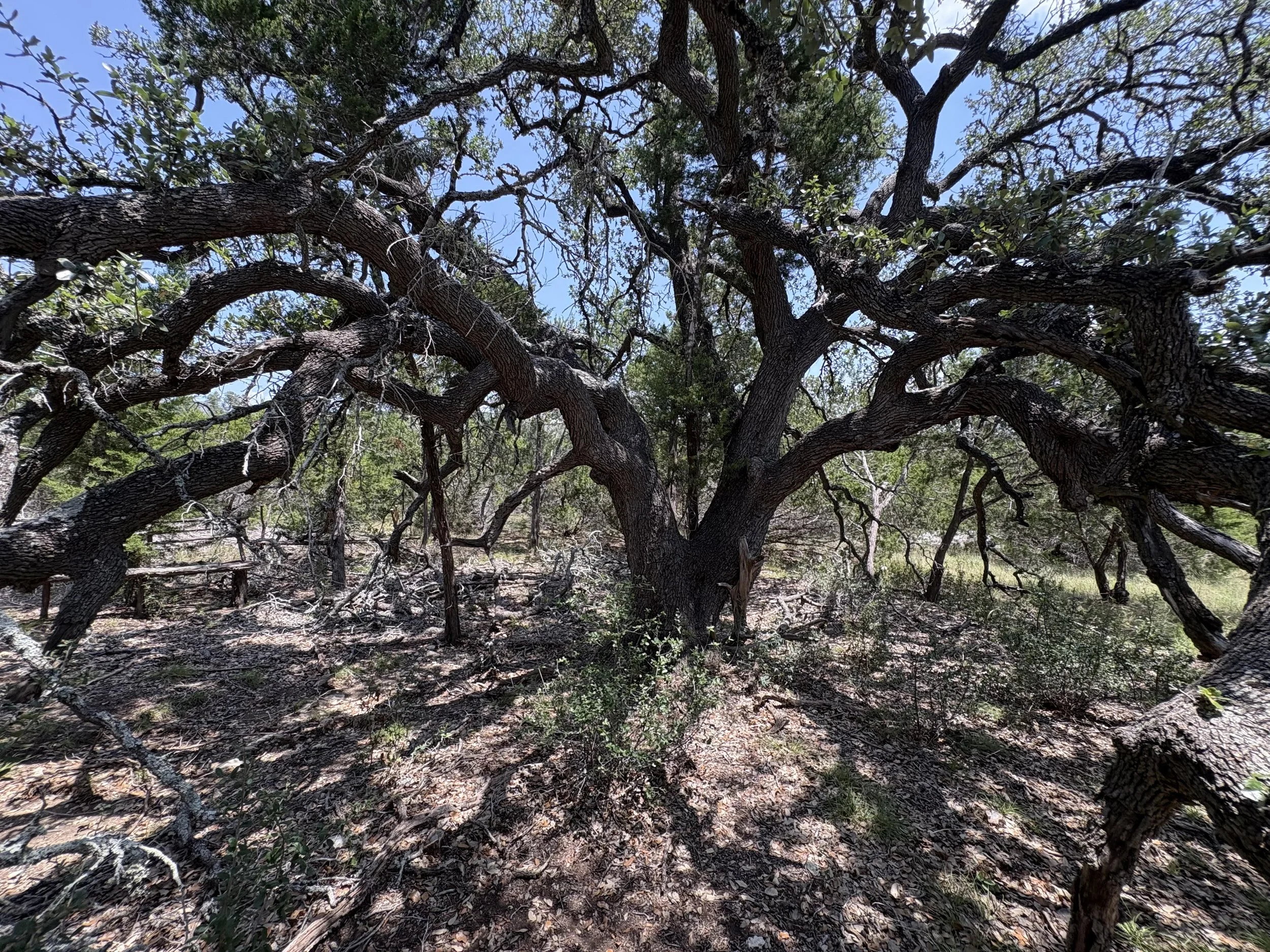 $99,900 | 564 Rock Trail Pl Spring Branch, TX 78070 | Mystic Shores at Canyon Lake