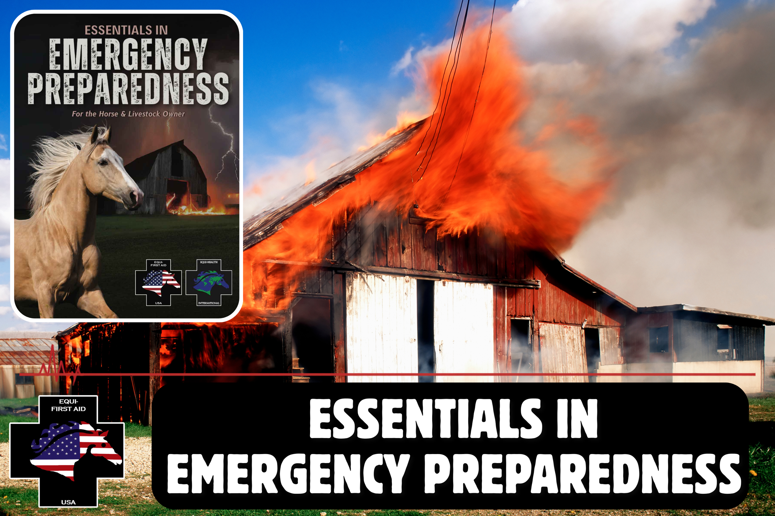 Essentials in Emergency Preparedness