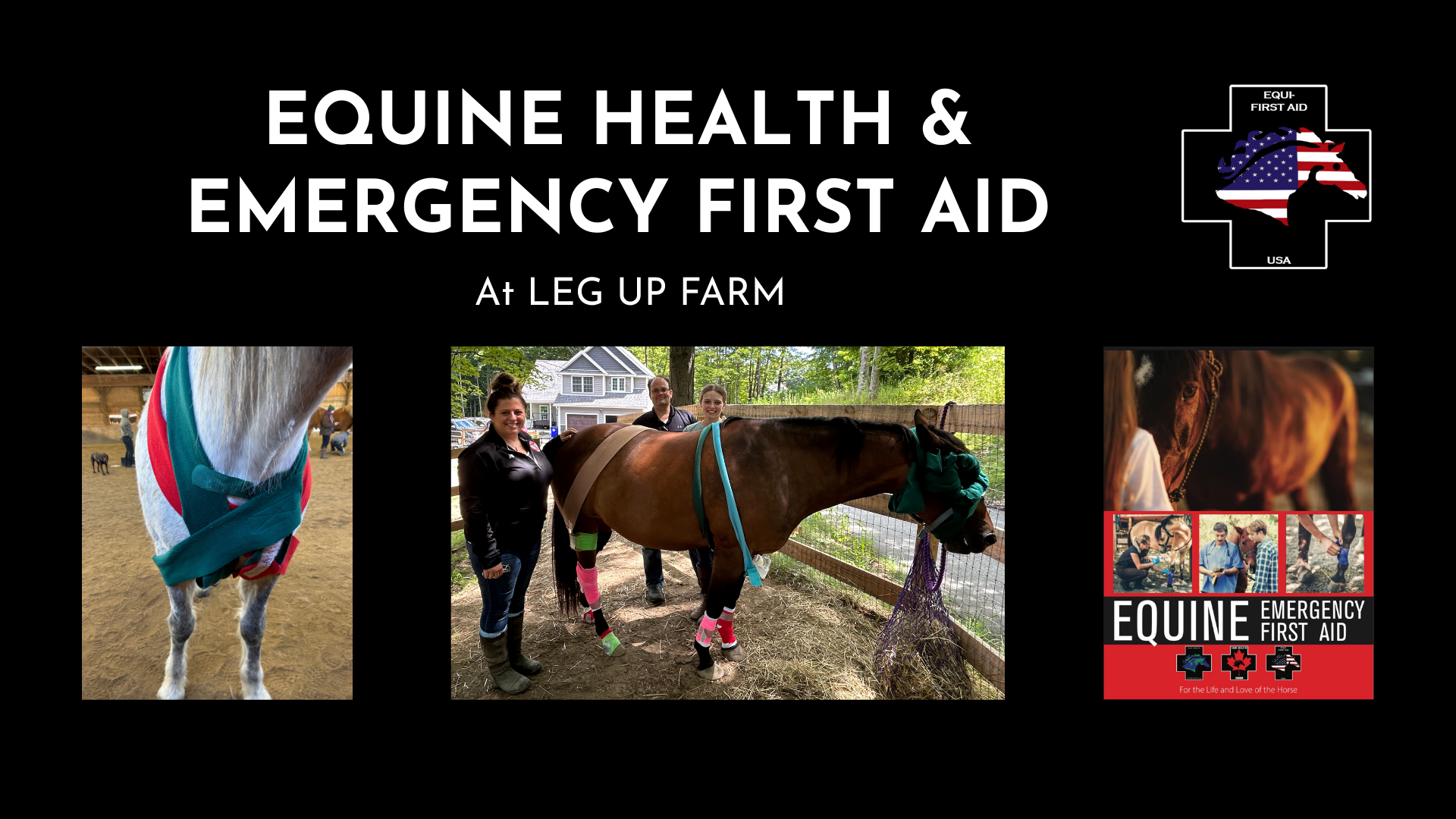 Equine Health &amp; Emergency First Aid