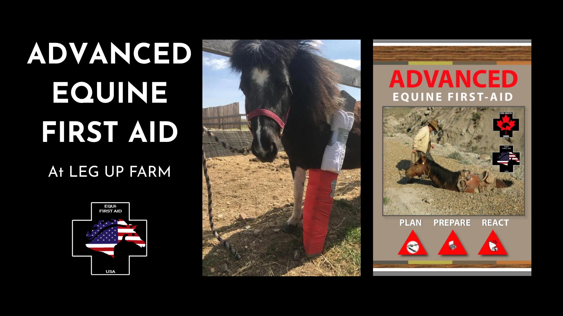 Advanced Equine First Aid