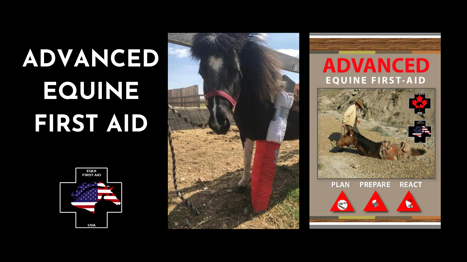 Advanced Equine First Aid