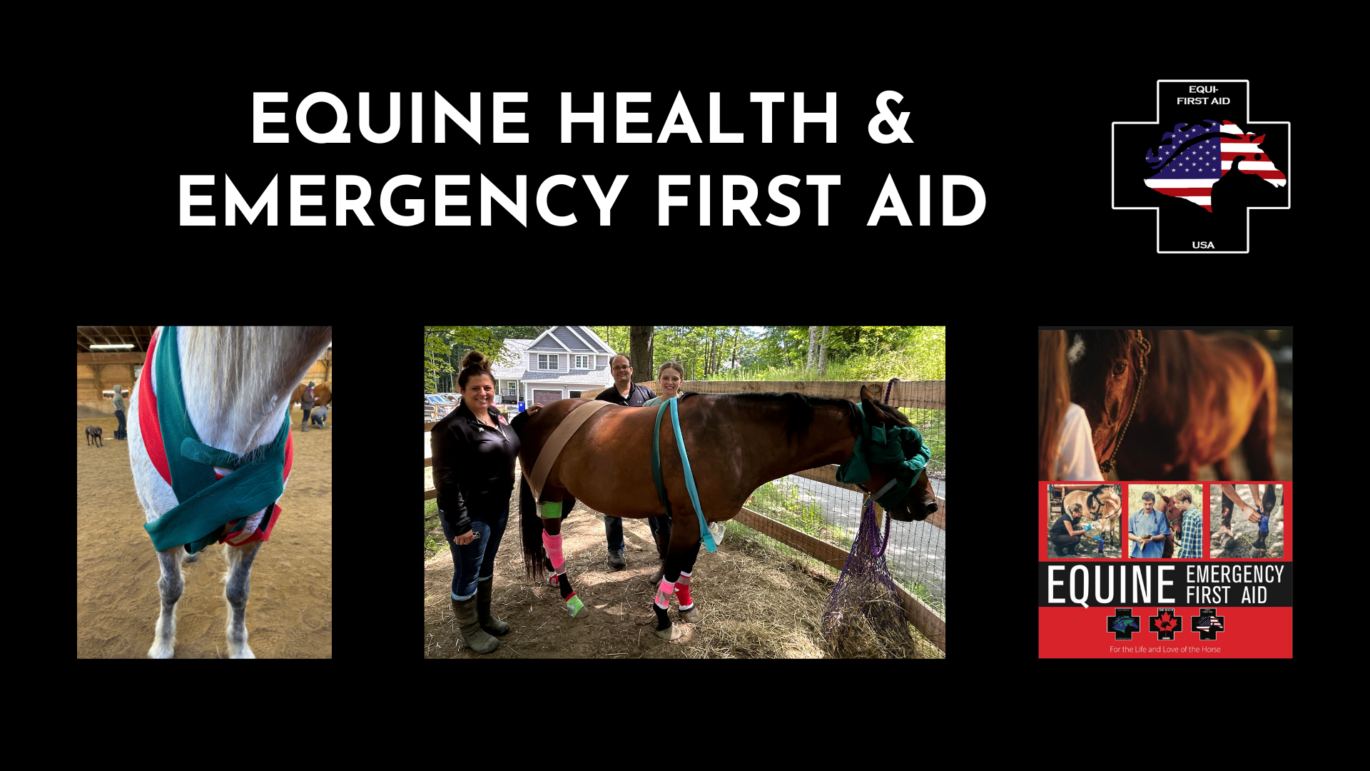 Equine Health &amp; Emergency First Aid