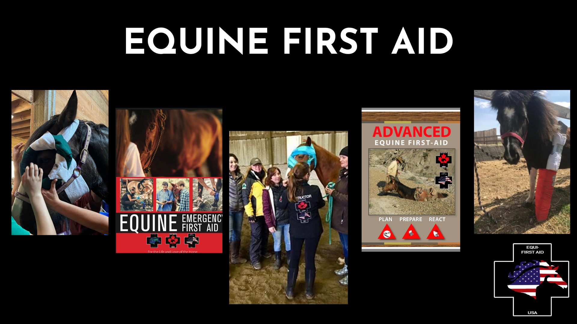 Equine First Aid at Twin Ridge Farm, Warner, NH
