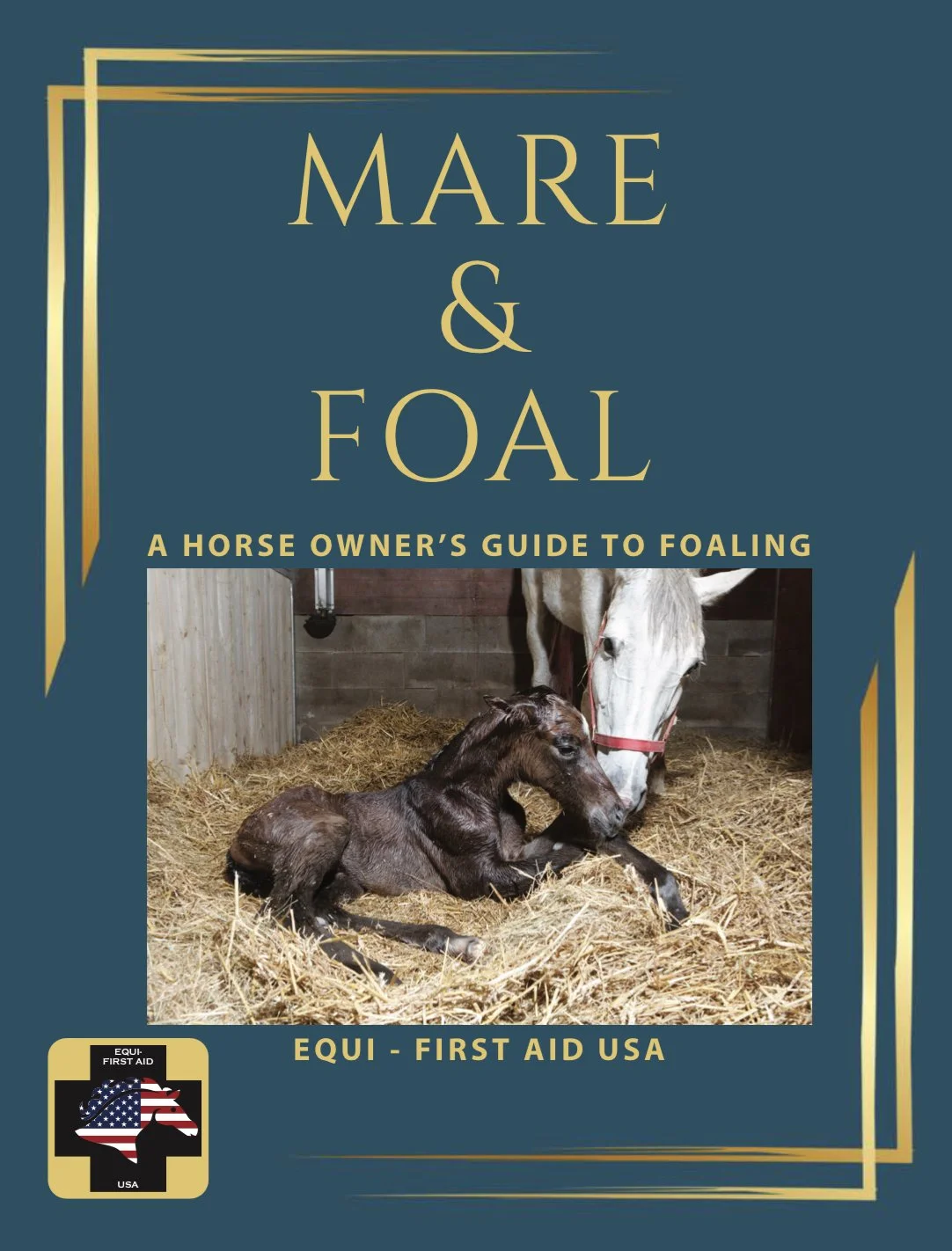 Mares &amp; Foals - a horse owner’s guide to foaling