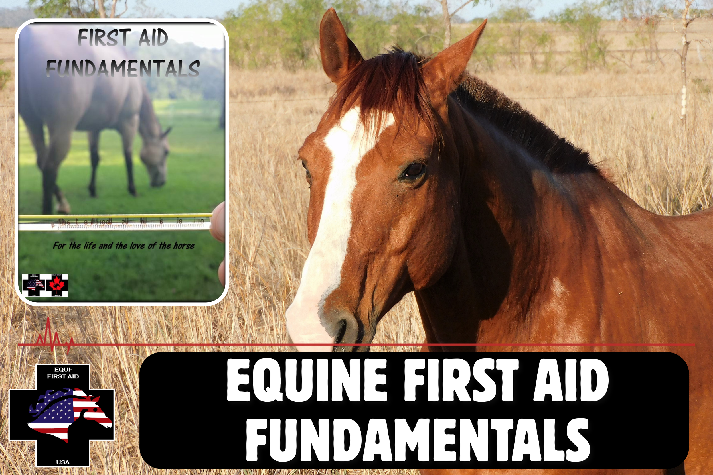 First Aid Fundamentals