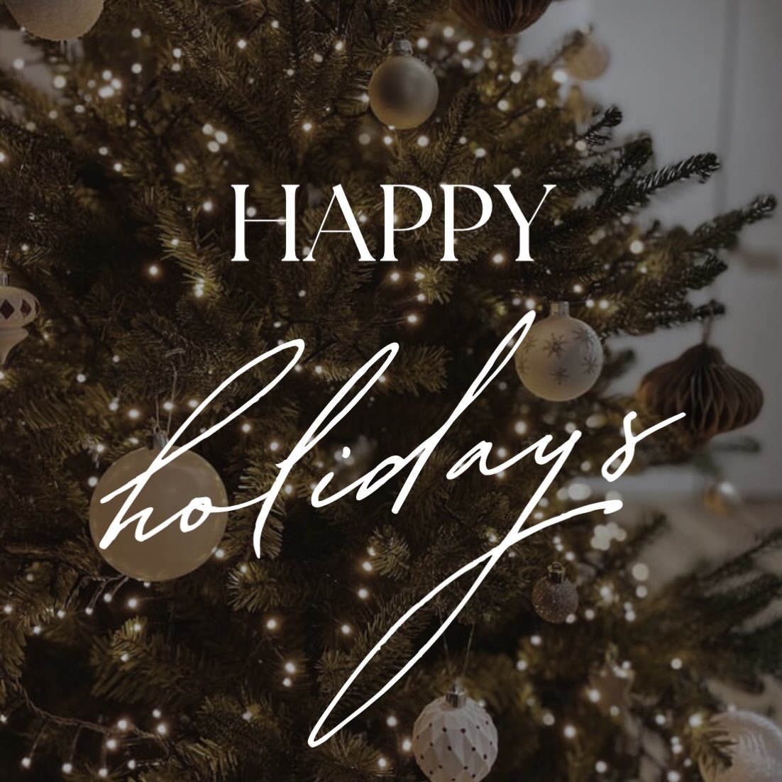 ❄️Wishing all of my amazing and loyal clients a very happy holiday season!🎄💕 

Thank you from the bottom of my heart for all of your love and support this year!🥰 

Now for some UPDATES‼️

The last couple months have been a whirlwind as illness mad