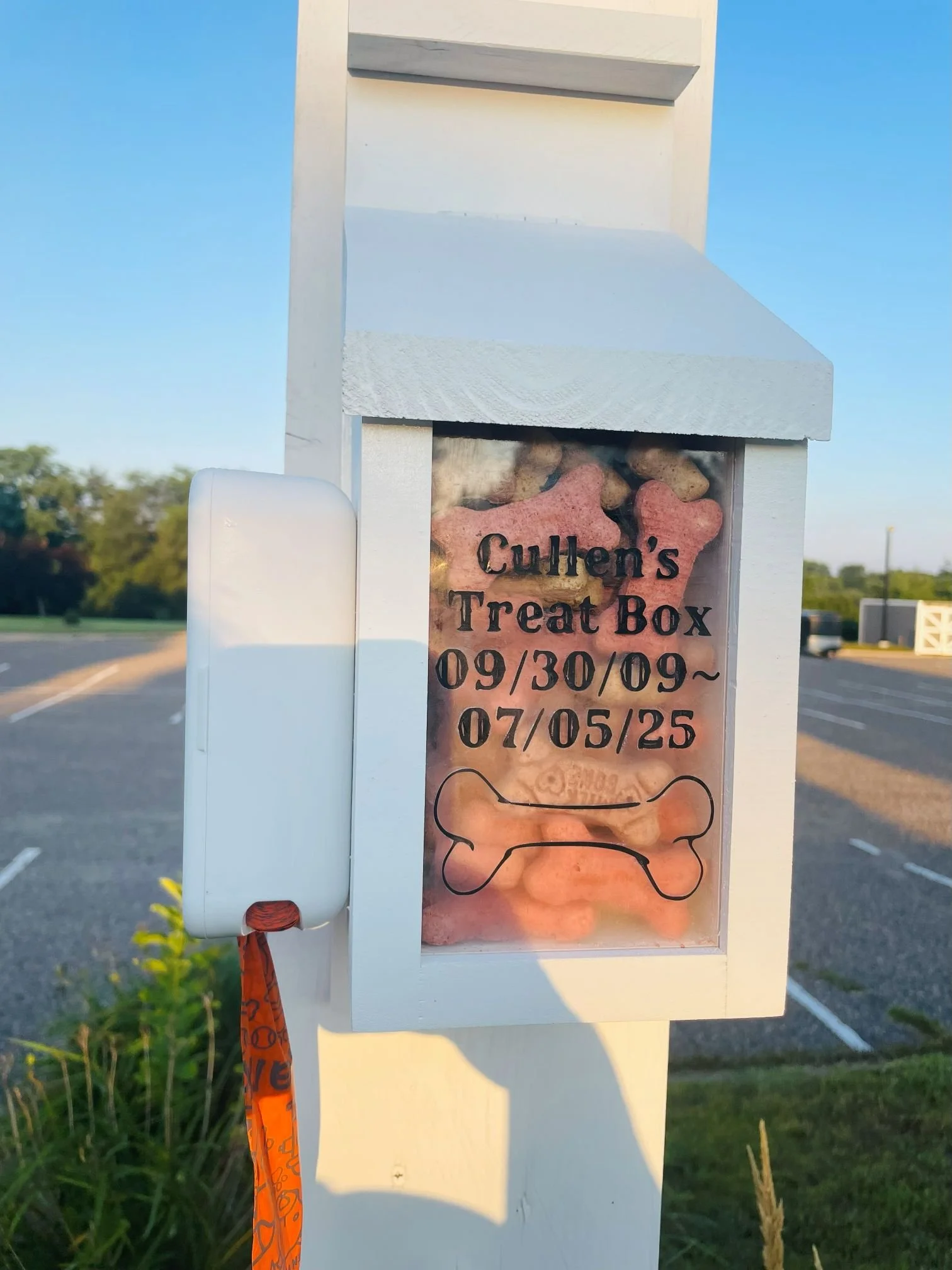 2025 Cullen's Treat Box