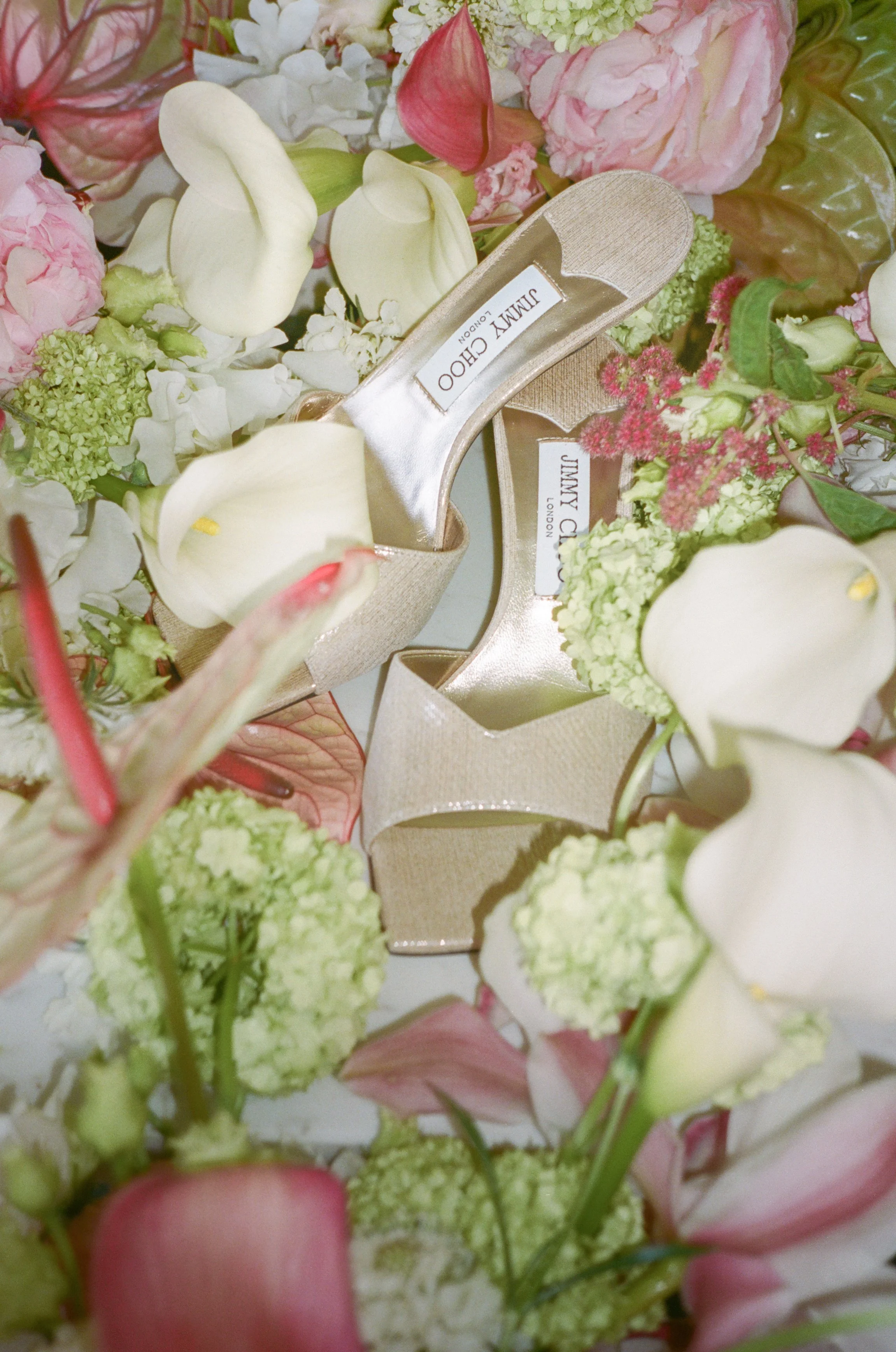 BethTomGooseberryHouseWedding-25.jpg