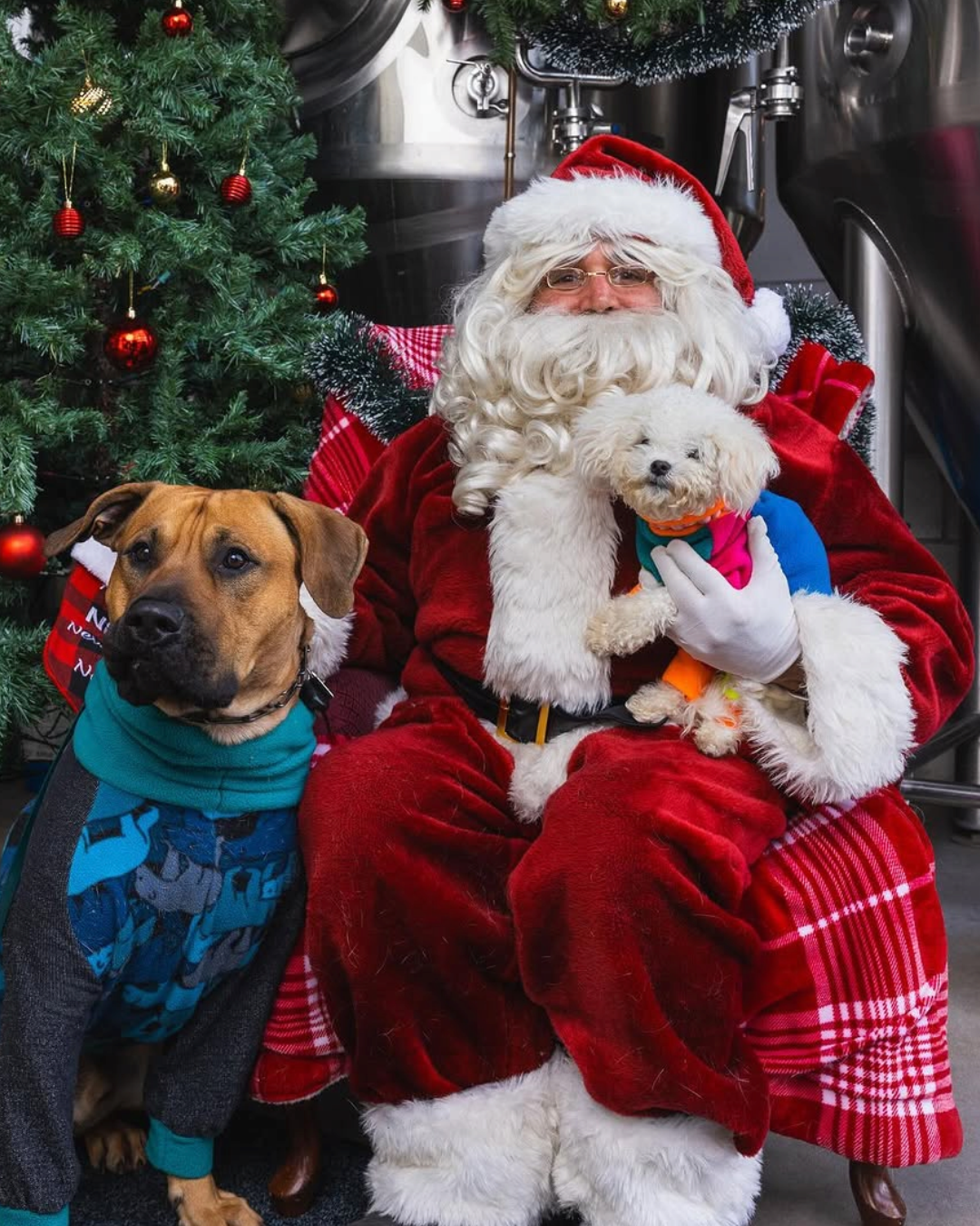 Dog Day Holiday